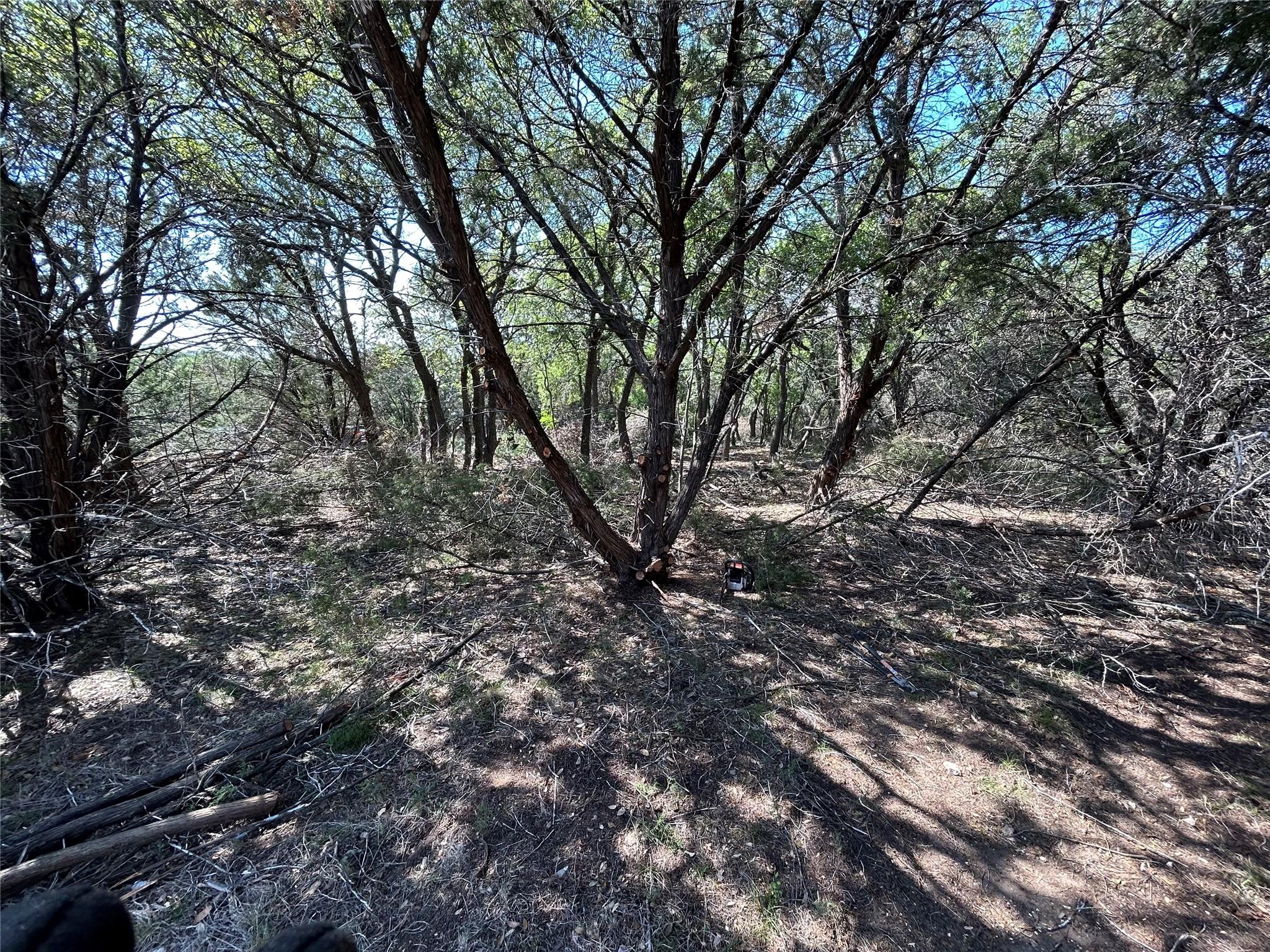 22300 Briarview Dr, Spicewood, TX 78669