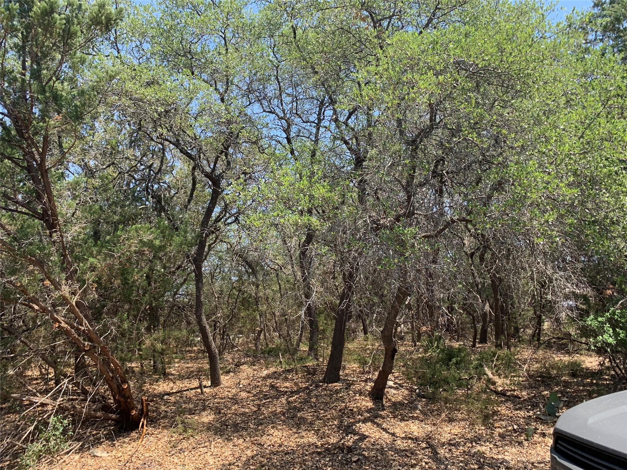 22300 Briarview Dr, Spicewood, TX 78669