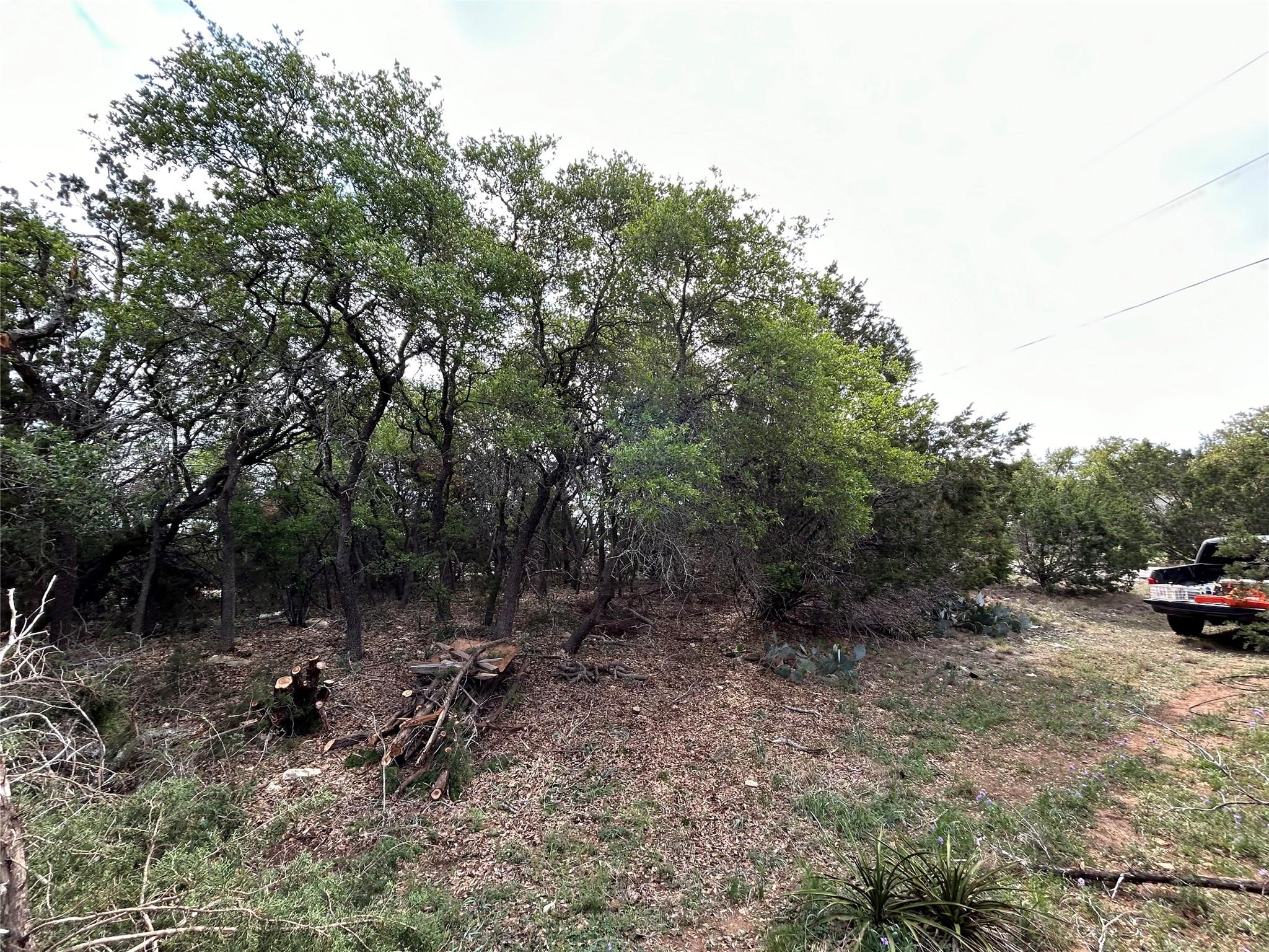 22300 Briarview Dr, Spicewood, TX 78669