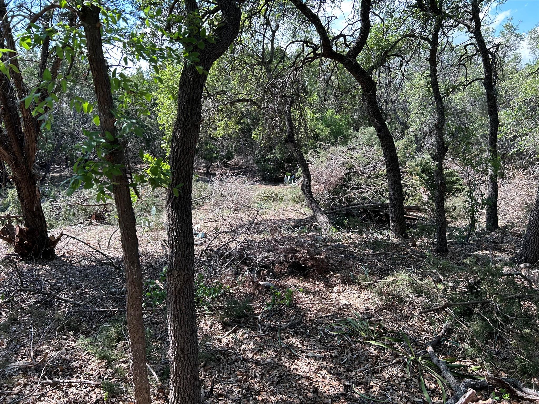 22300 Briarview Dr, Spicewood, TX 78669