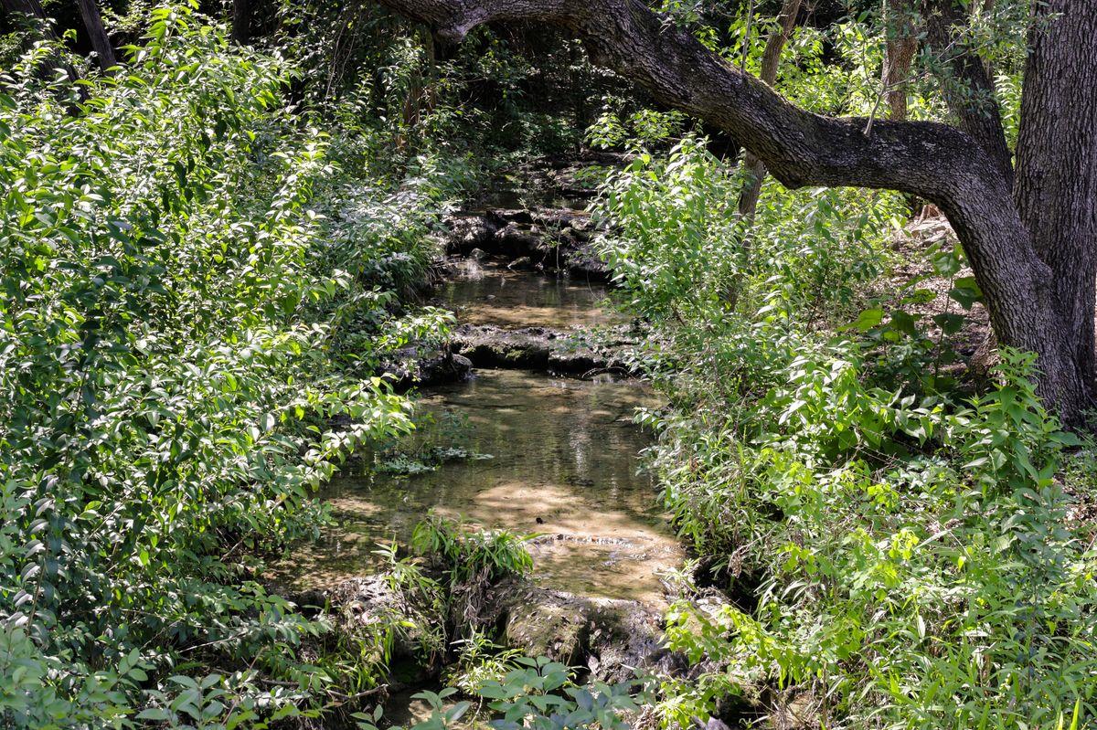 506 Konstanty Cir, Austin, TX 78746