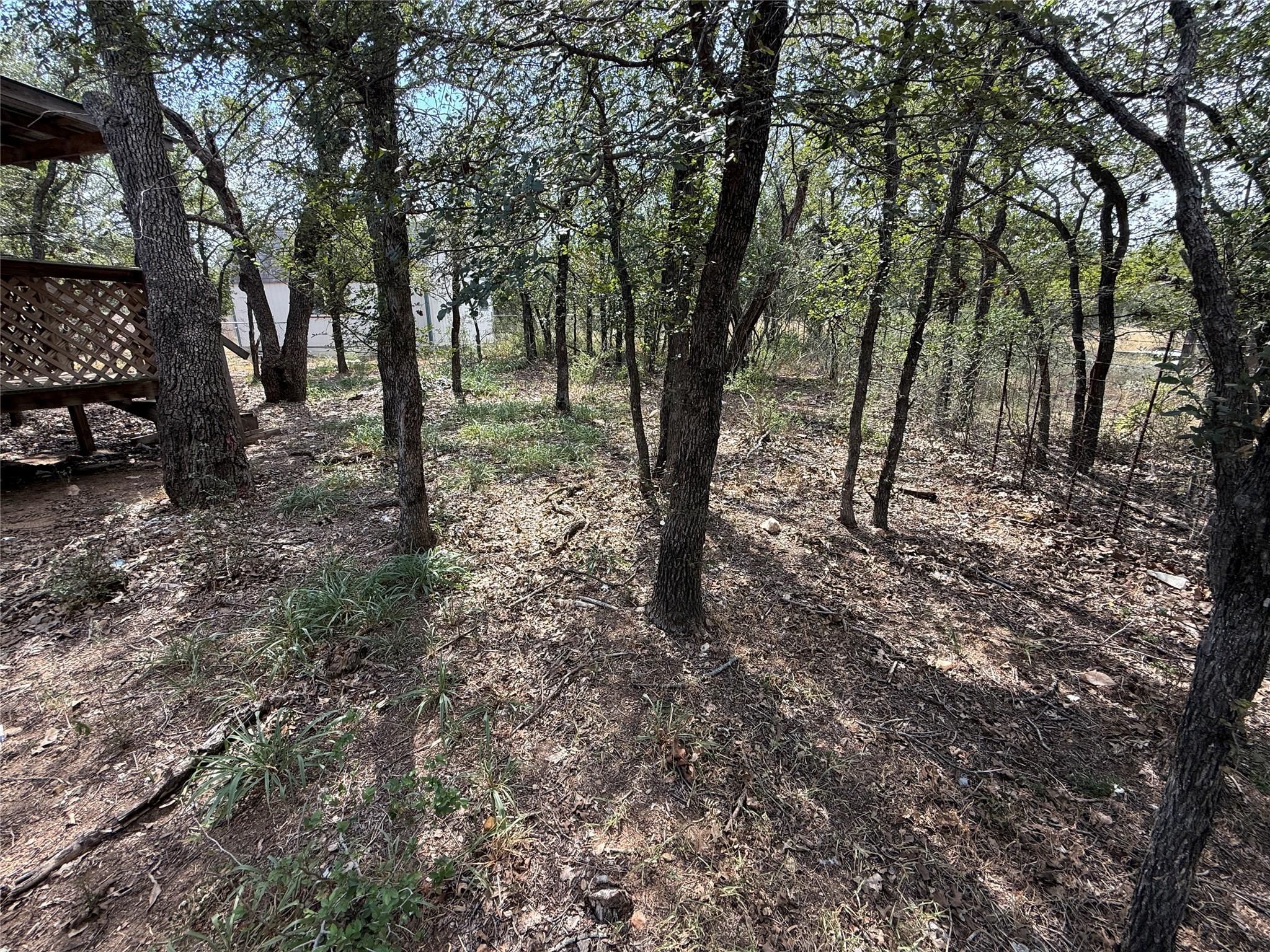 435 Horseshoe Dr, Kingsland, TX 78639