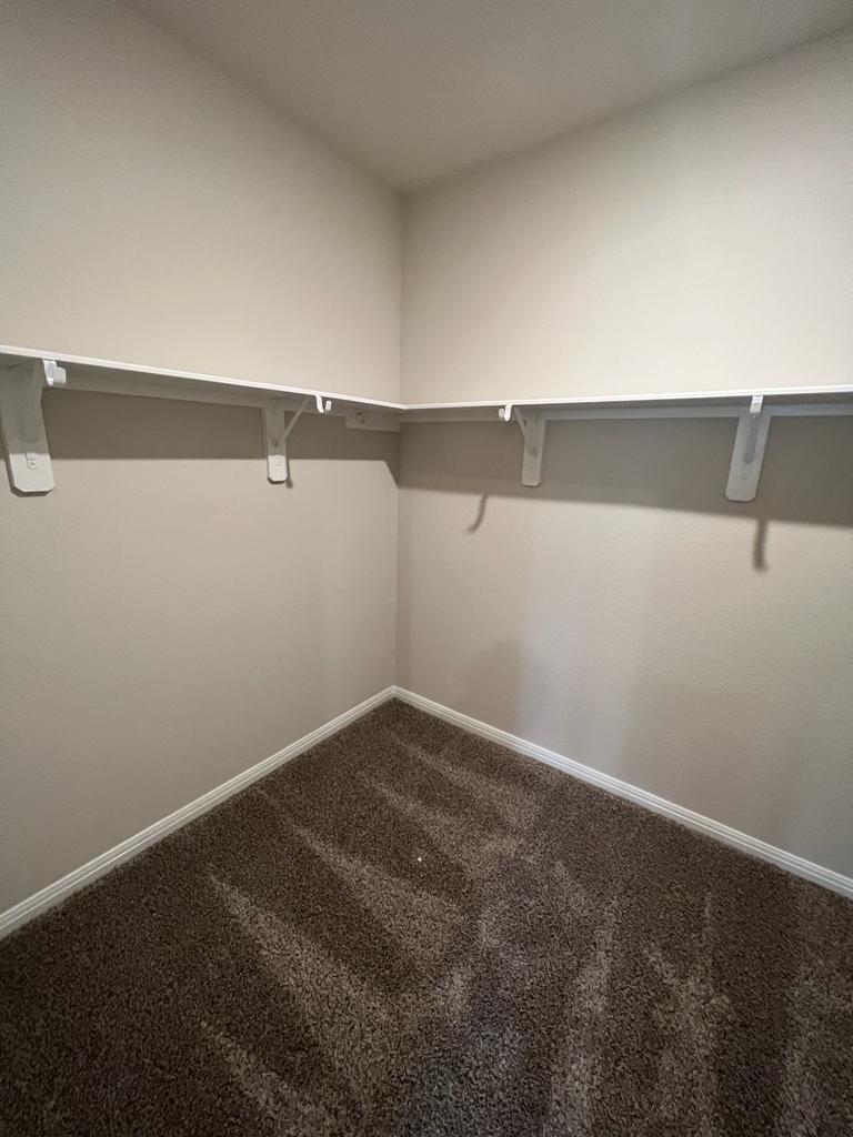 403 Osier Pass Way, Hutto, TX 78634