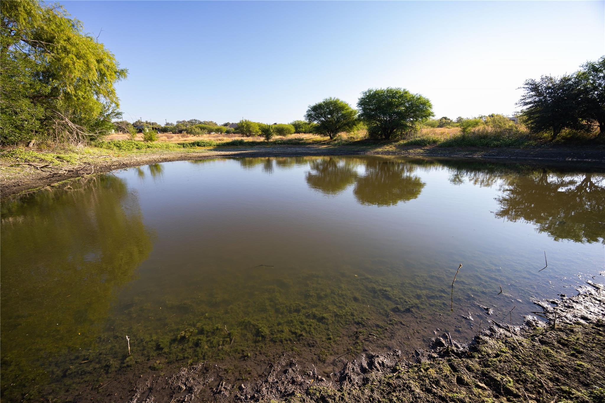 6868 Pfeil Rd, Schertz, TX 78154