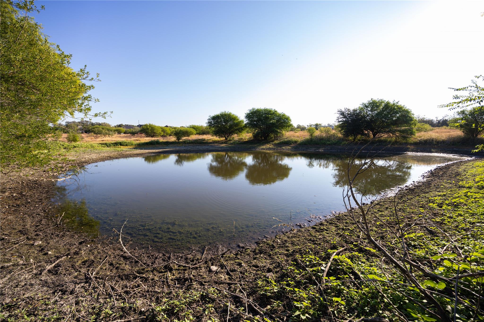 6868 Pfeil Rd, Schertz, TX 78154