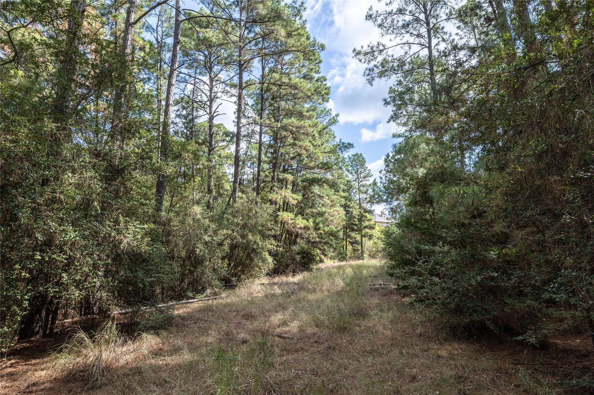 LOT 1447 Koae Ct, Bastrop, TX 78602