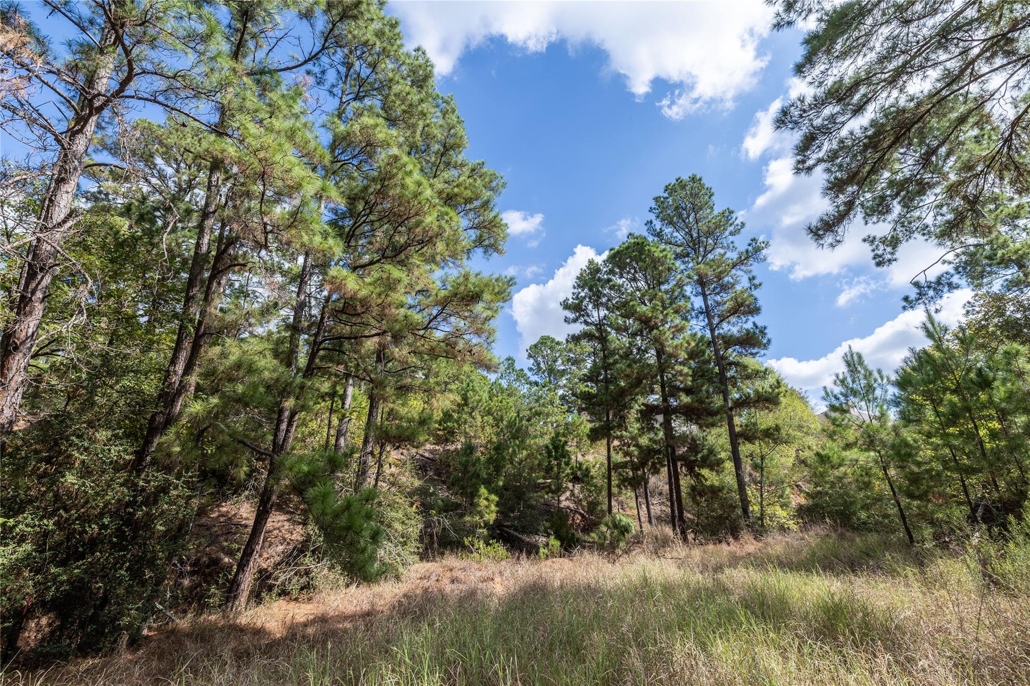 LOT 1447 Koae Ct, Bastrop, TX 78602