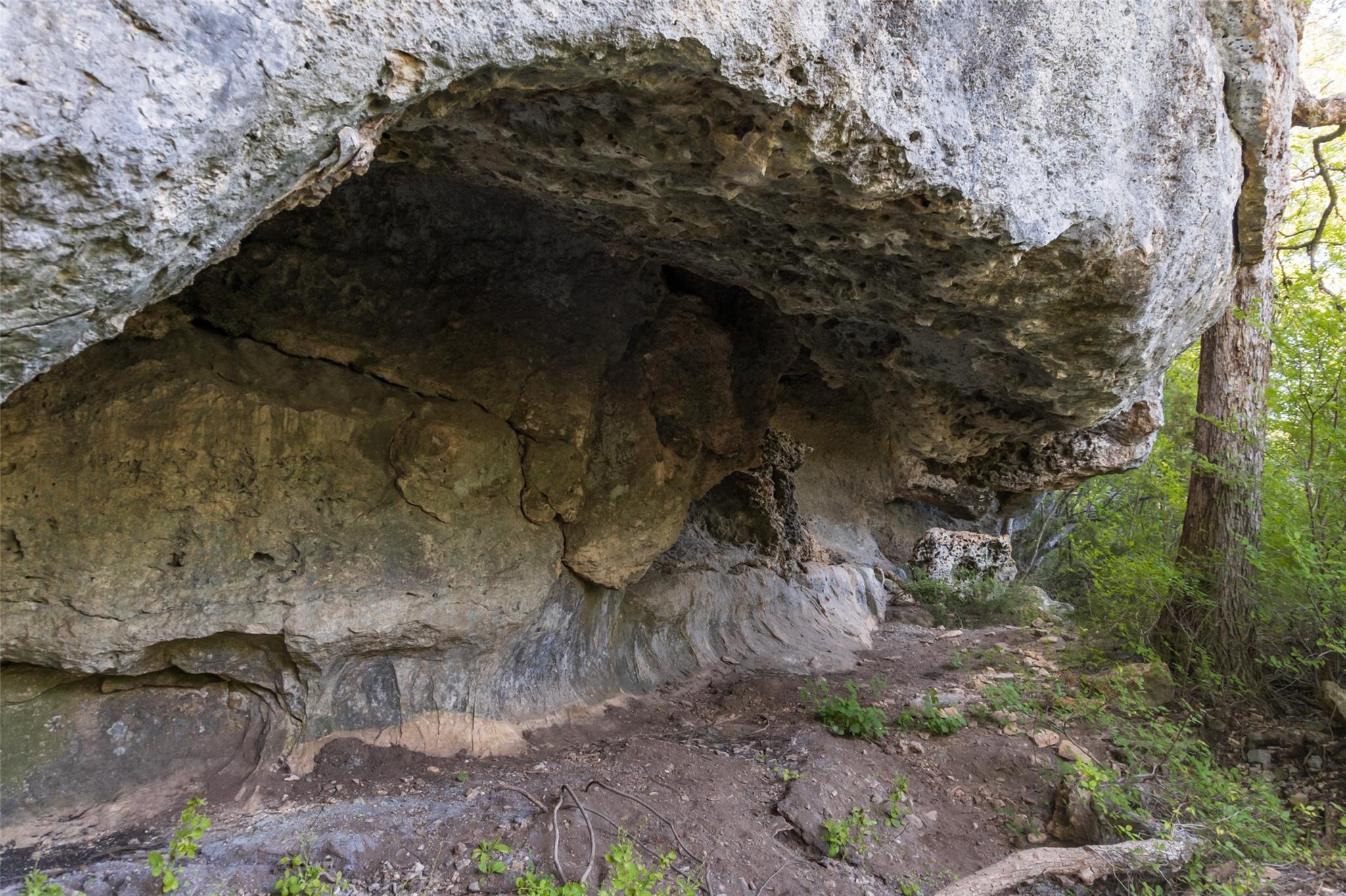 TBD FM 2325 Rd, Wimberley, TX 78676