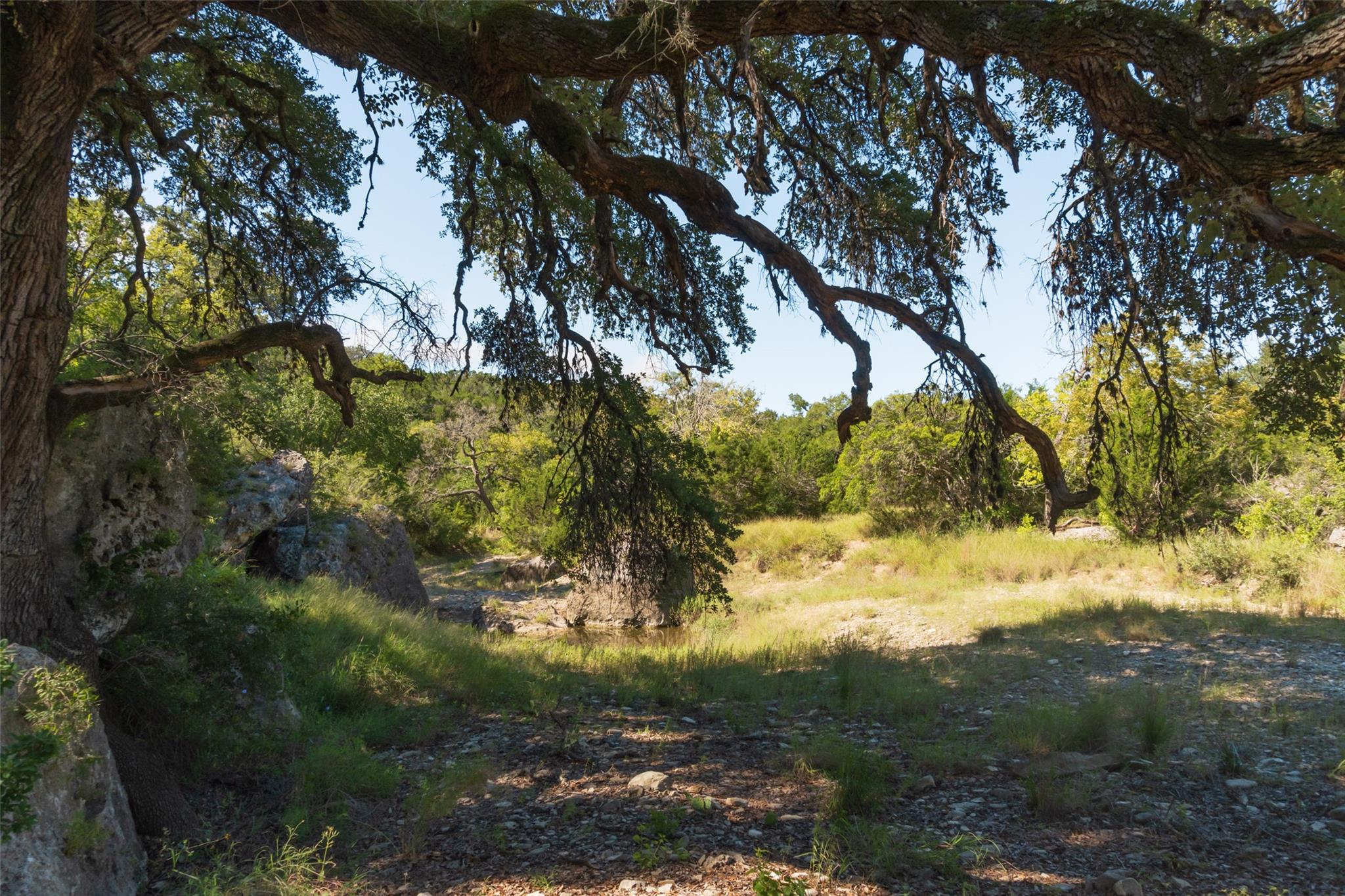 TBD FM 2325 Rd, Wimberley, TX 78676