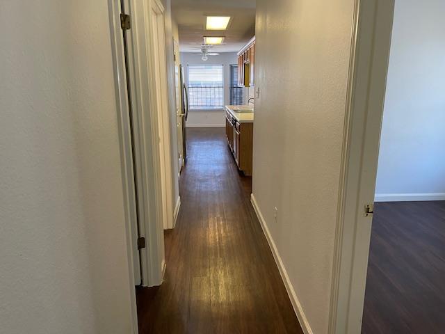 833 Picadilly Dr, Pflugerville, TX 78660