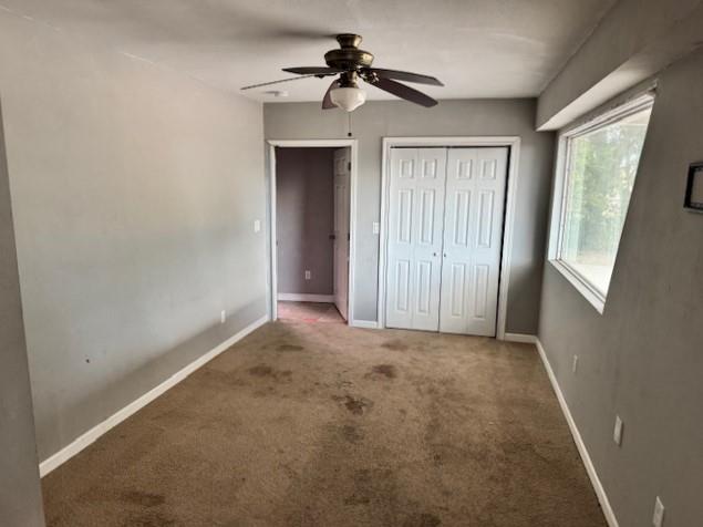 6005 Covers Cv, New Braunfels, TX 78132