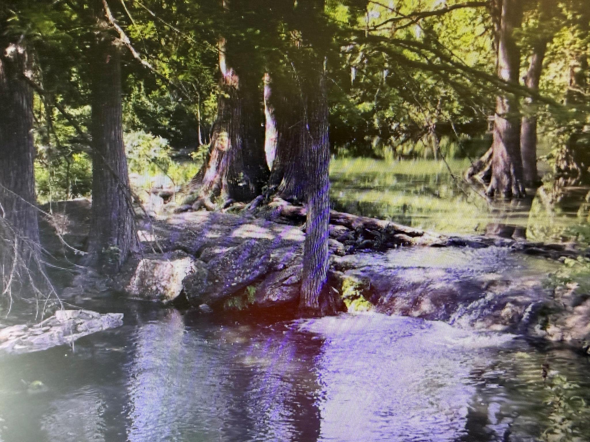 1724 Cave Dr, Spring Branch, TX 78070