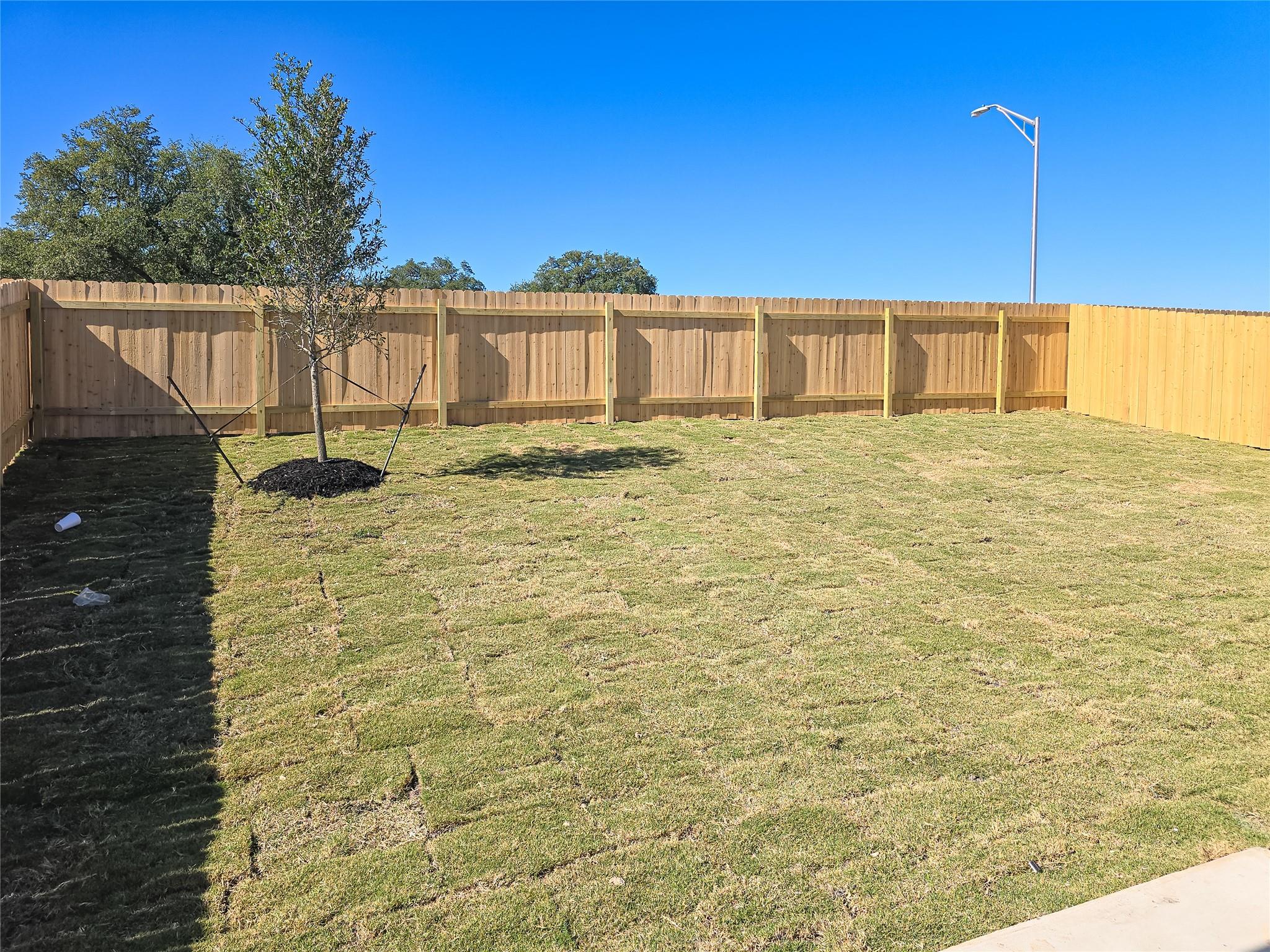 1117 Nesting Bird Dr, Georgetown, TX 78628