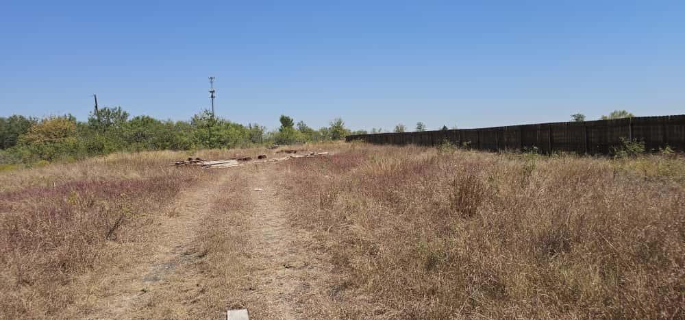 169 El Rey Dr, Kyle, TX 78640