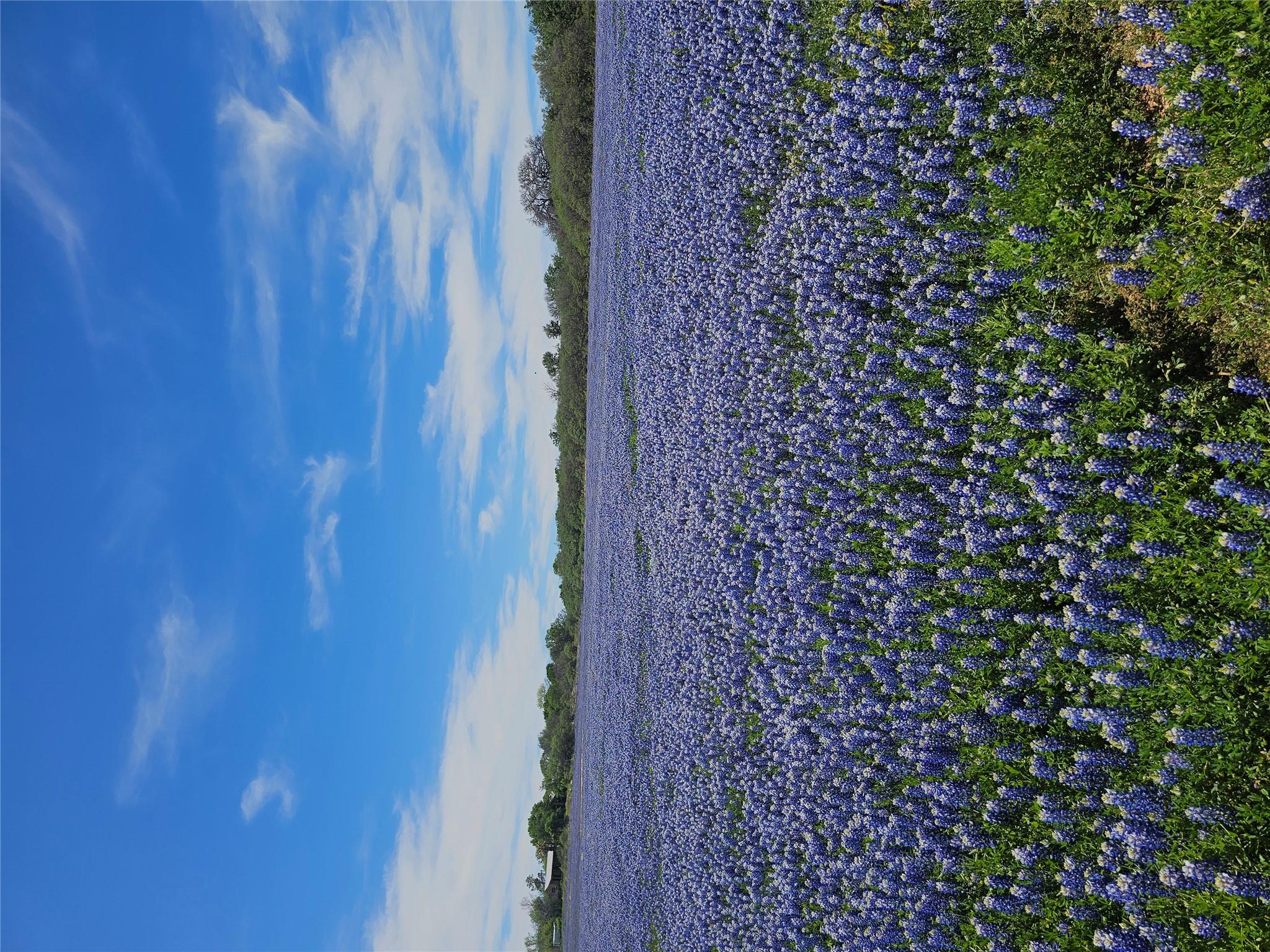 100 South St, Tow, TX 78672