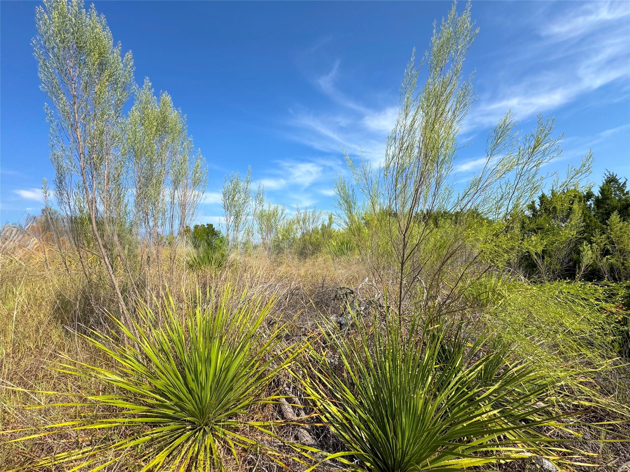 849 Scenic Hills Dr, Canyon Lake, TX 78133