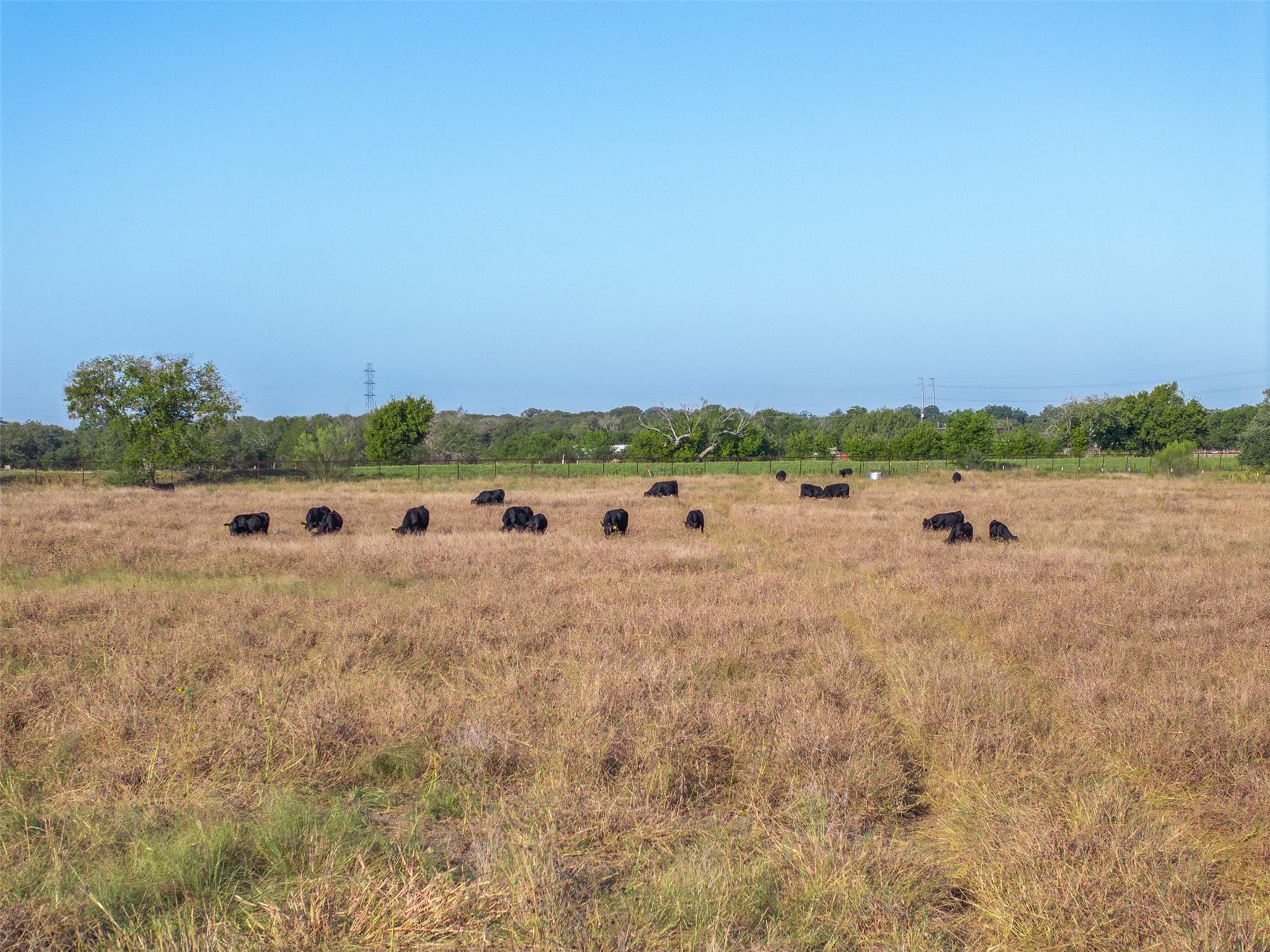 15350 San Marcos Highway, Martindale, TX 78655