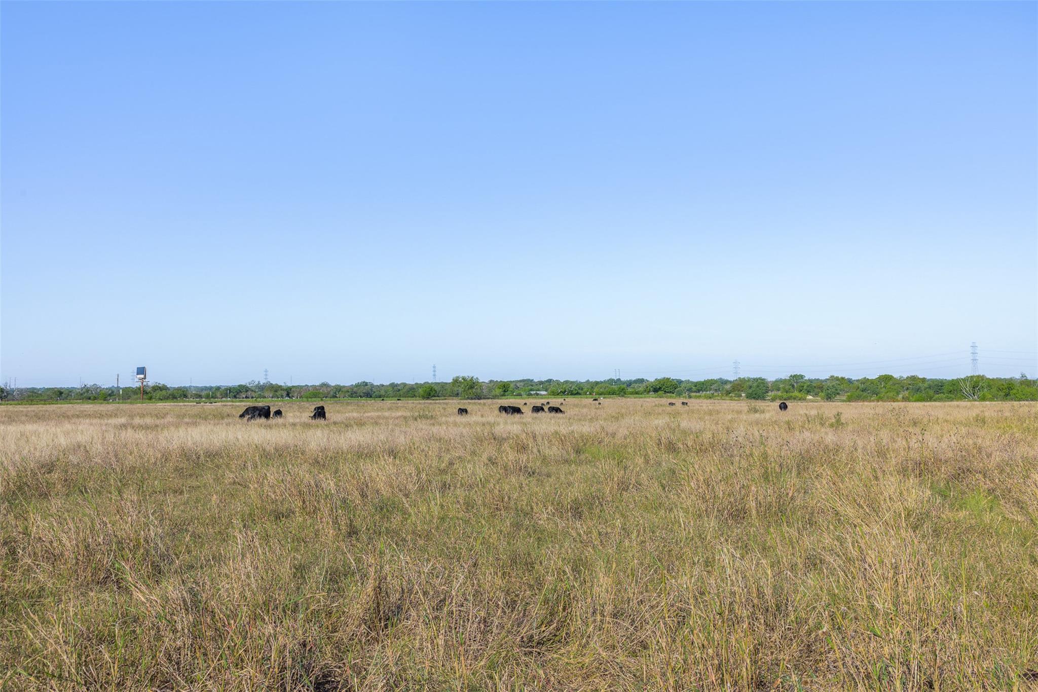 15350 San Marcos Highway, Martindale, TX 78655