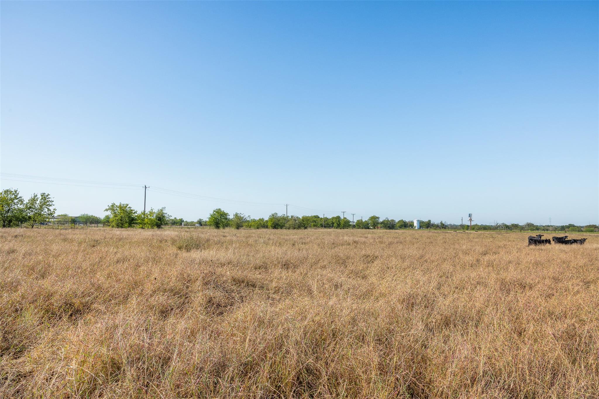 15350 San Marcos Highway, Martindale, TX 78655