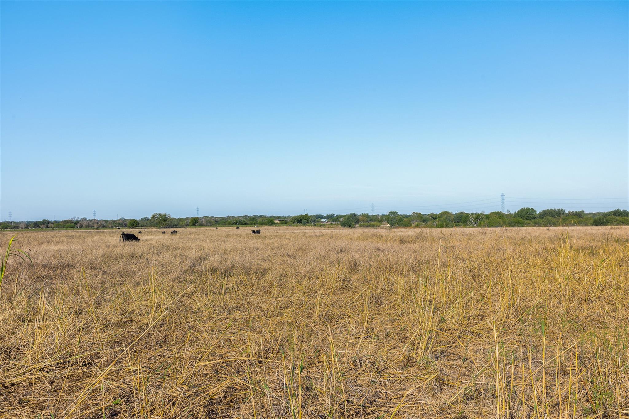 15350 San Marcos Highway, Martindale, TX 78655