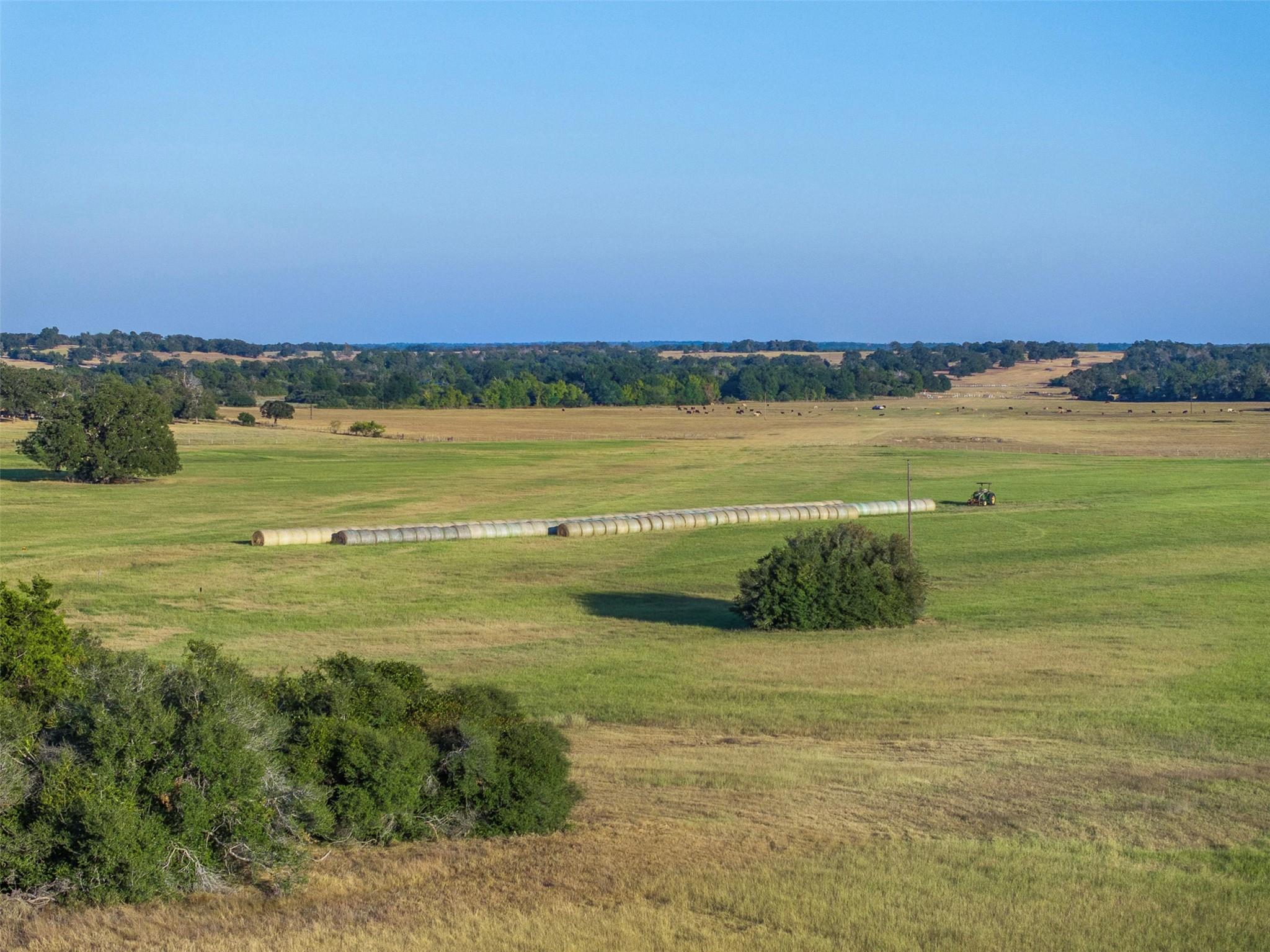 3419 County Road 309, Lexington, TX 78947