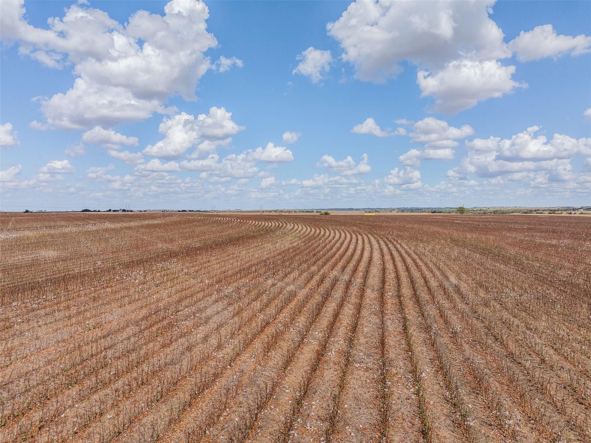 000 Wells Ln, Manor, TX 78653