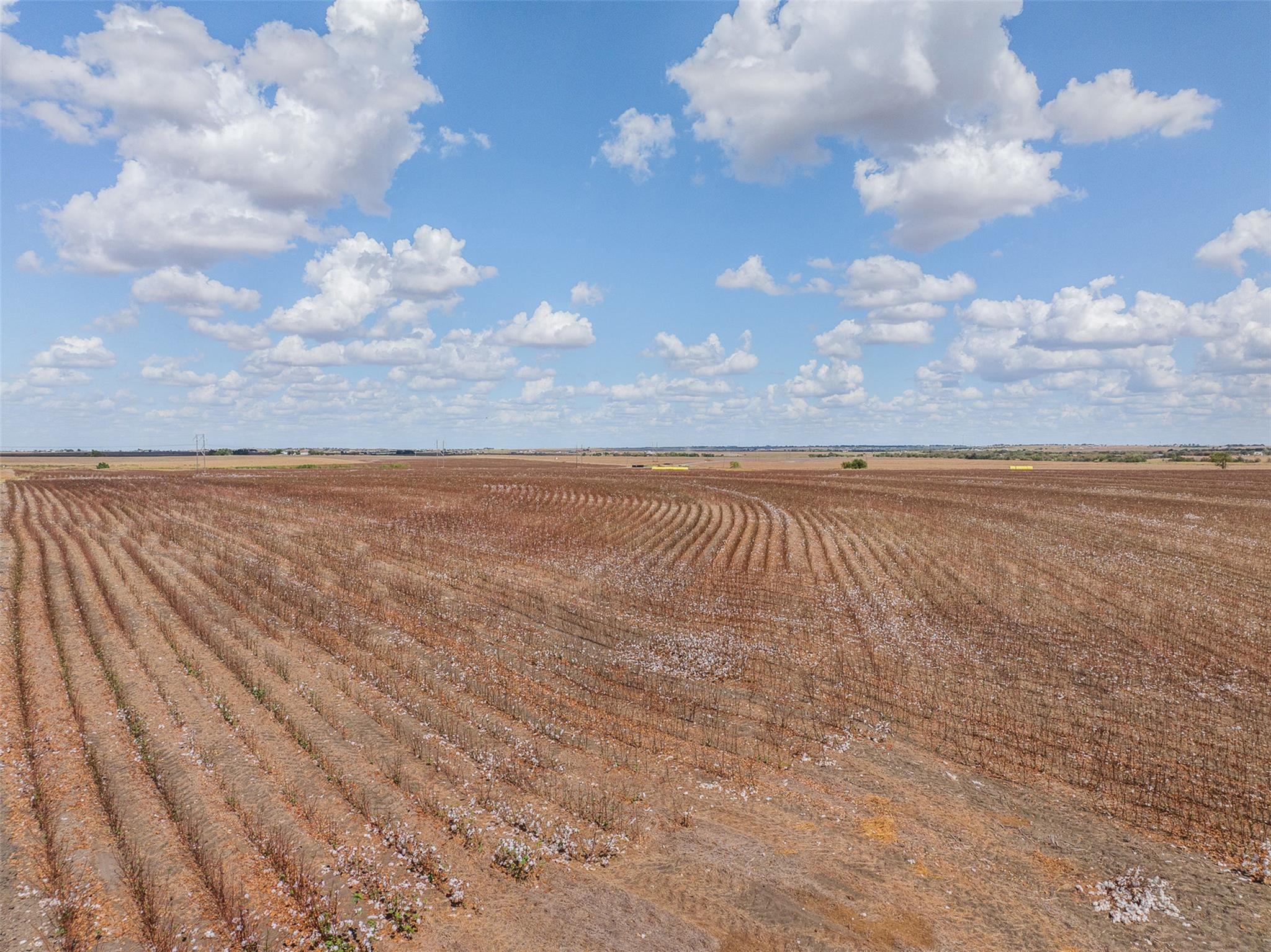 000 Wells Ln, Manor, TX 78653