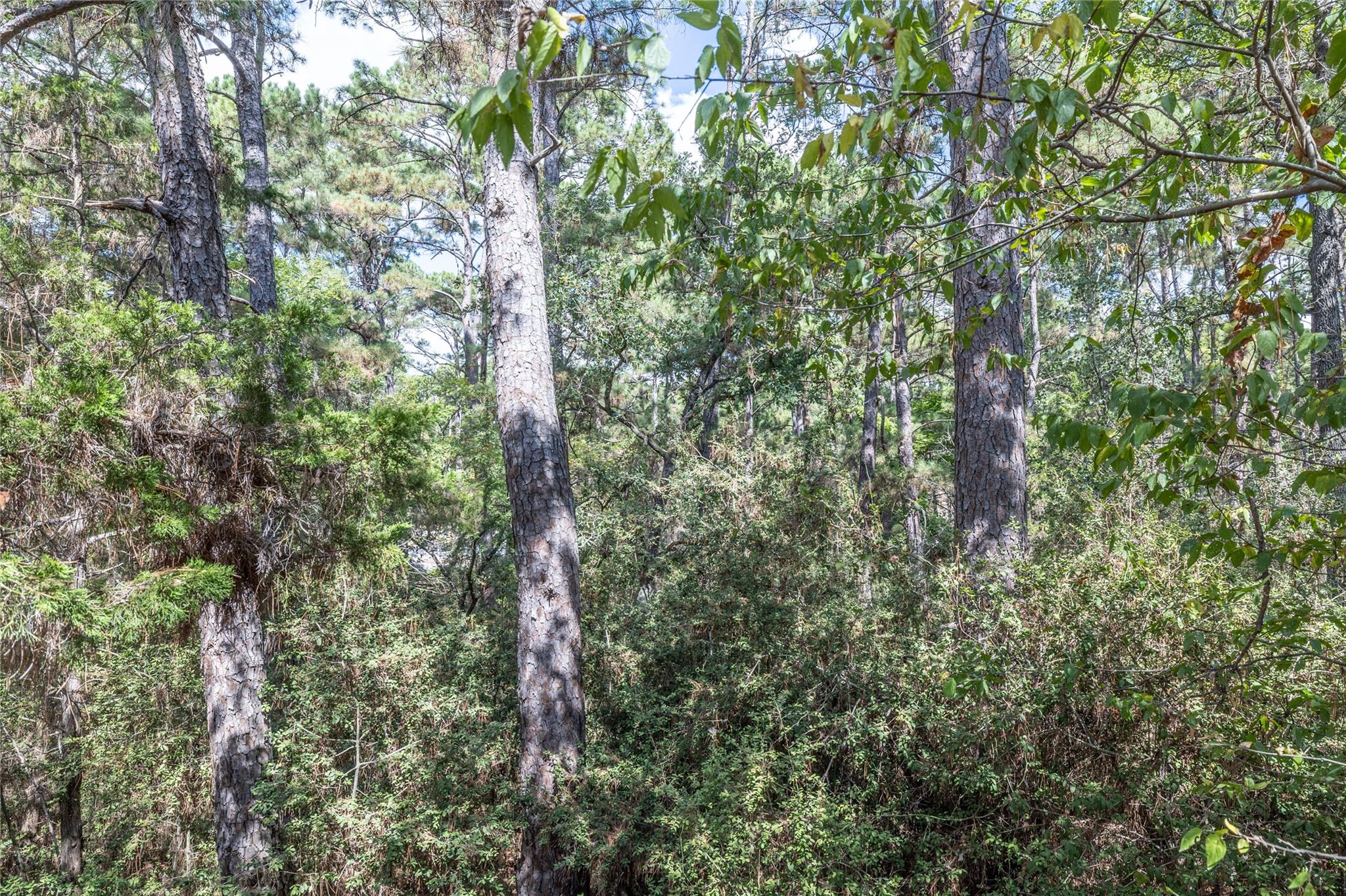 LOT 1263 W Kamoi Ct, Bastrop, TX 78602