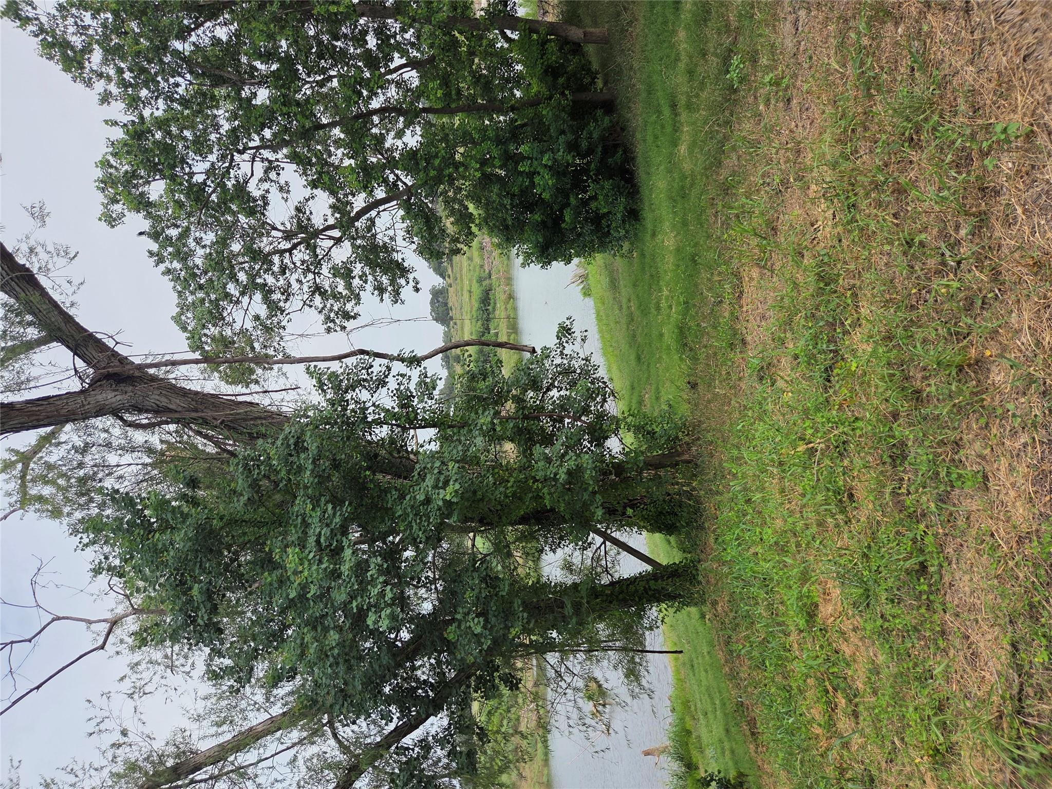 317 River Cliff Pl, Spring Branch, TX 78070