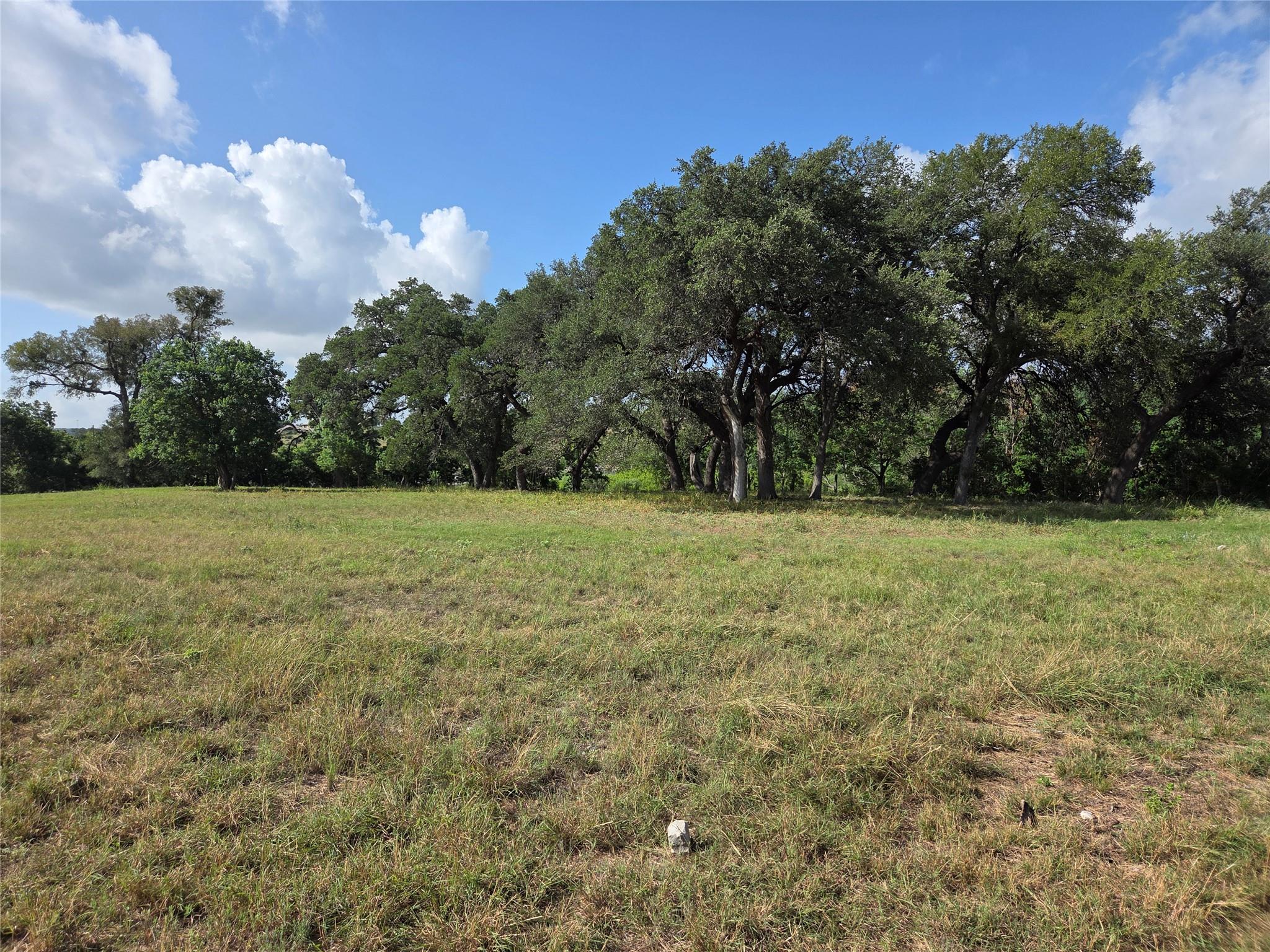 317 River Cliff Pl, Spring Branch, TX 78070