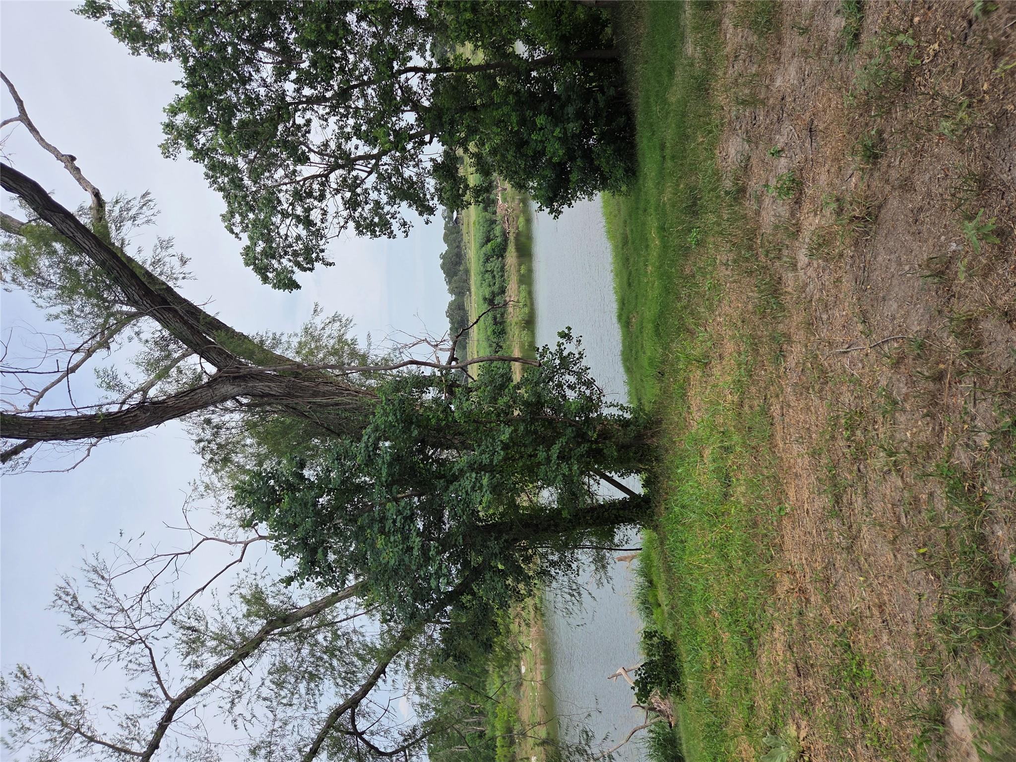 317 River Cliff Pl, Spring Branch, TX 78070