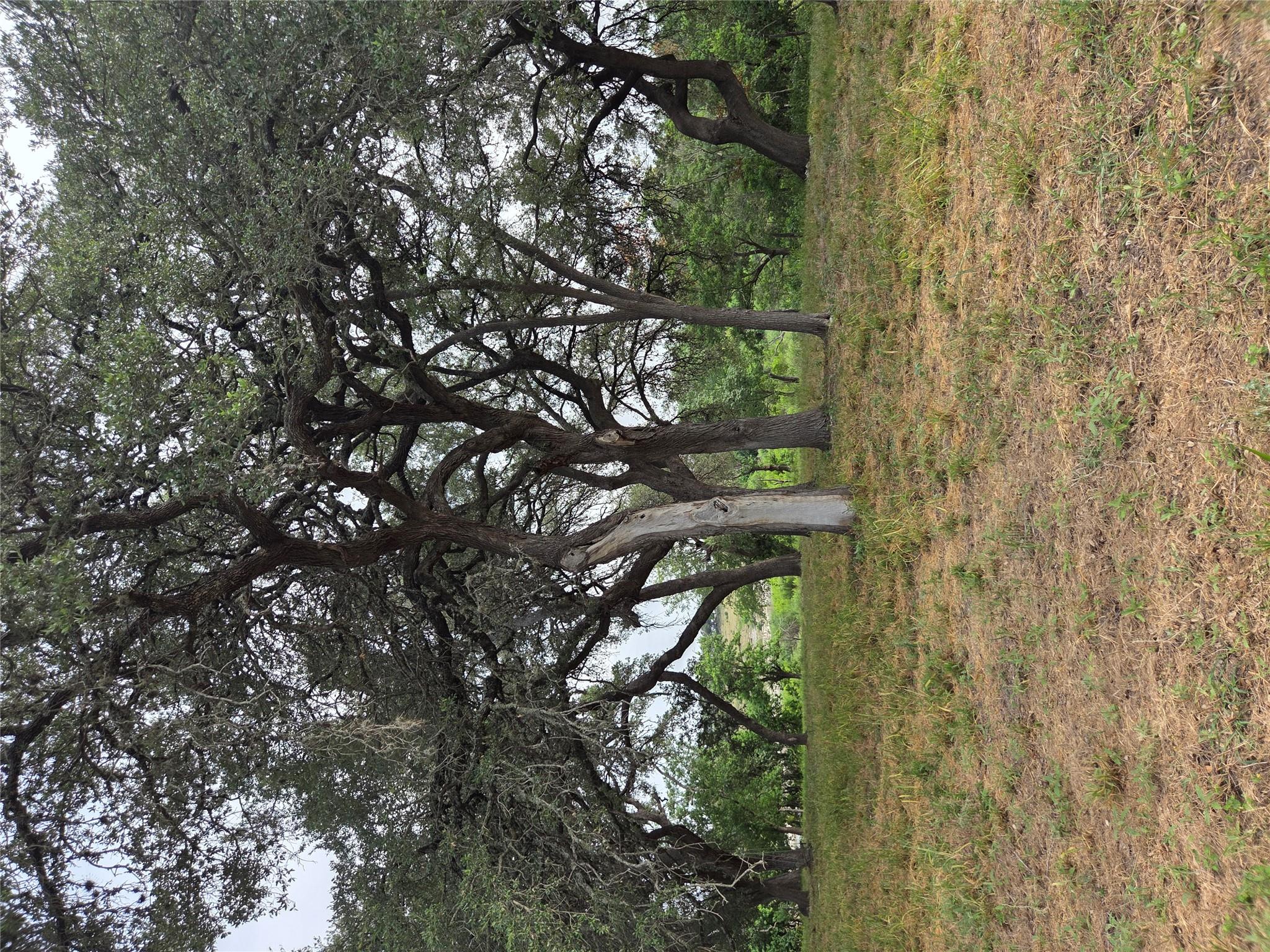 317 River Cliff Pl, Spring Branch, TX 78070