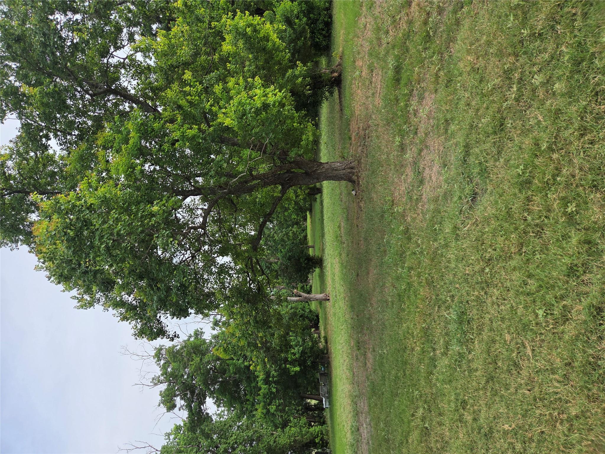 317 River Cliff Pl, Spring Branch, TX 78070