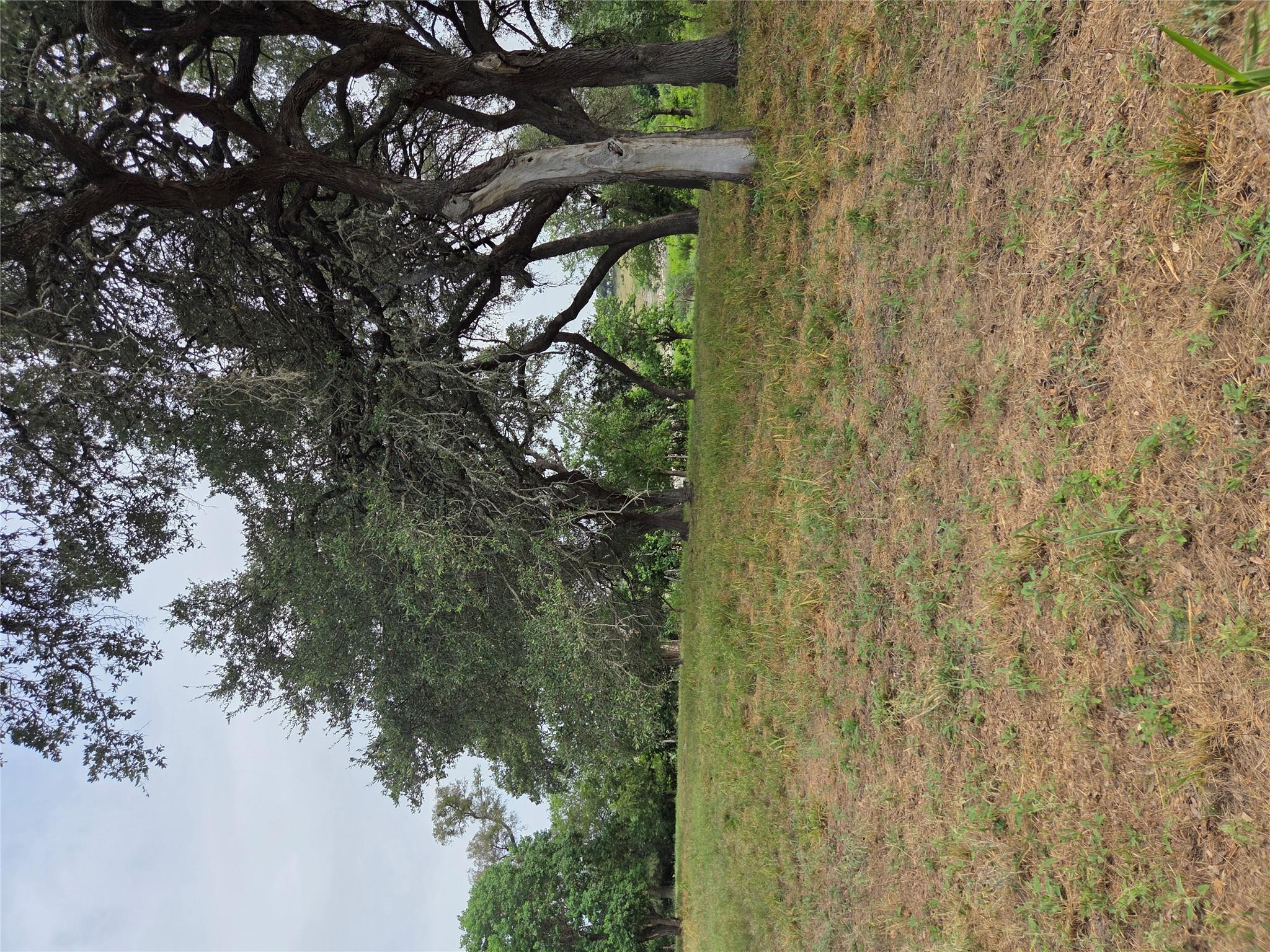 317 River Cliff Pl, Spring Branch, TX 78070