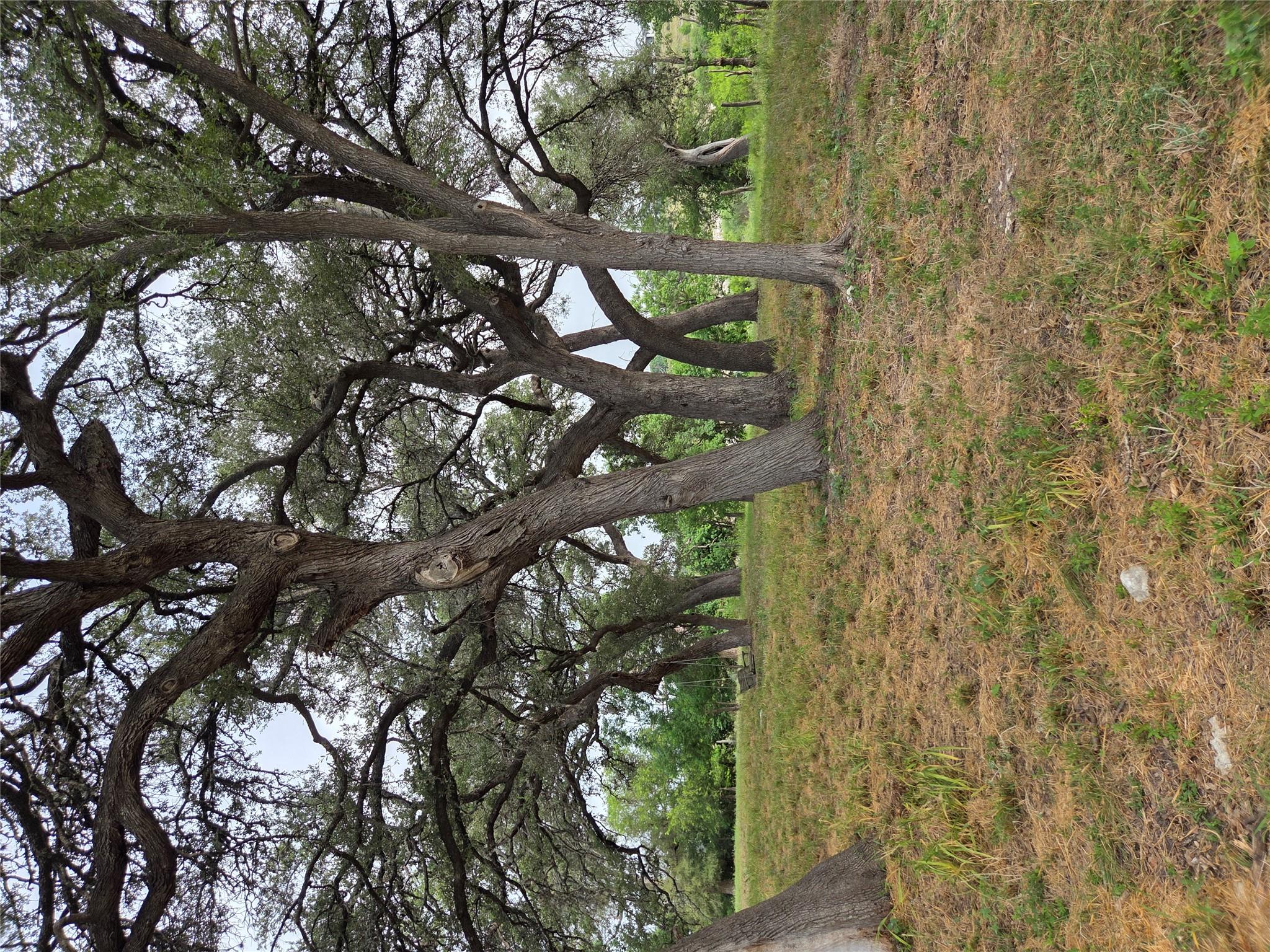 317 River Cliff Pl, Spring Branch, TX 78070