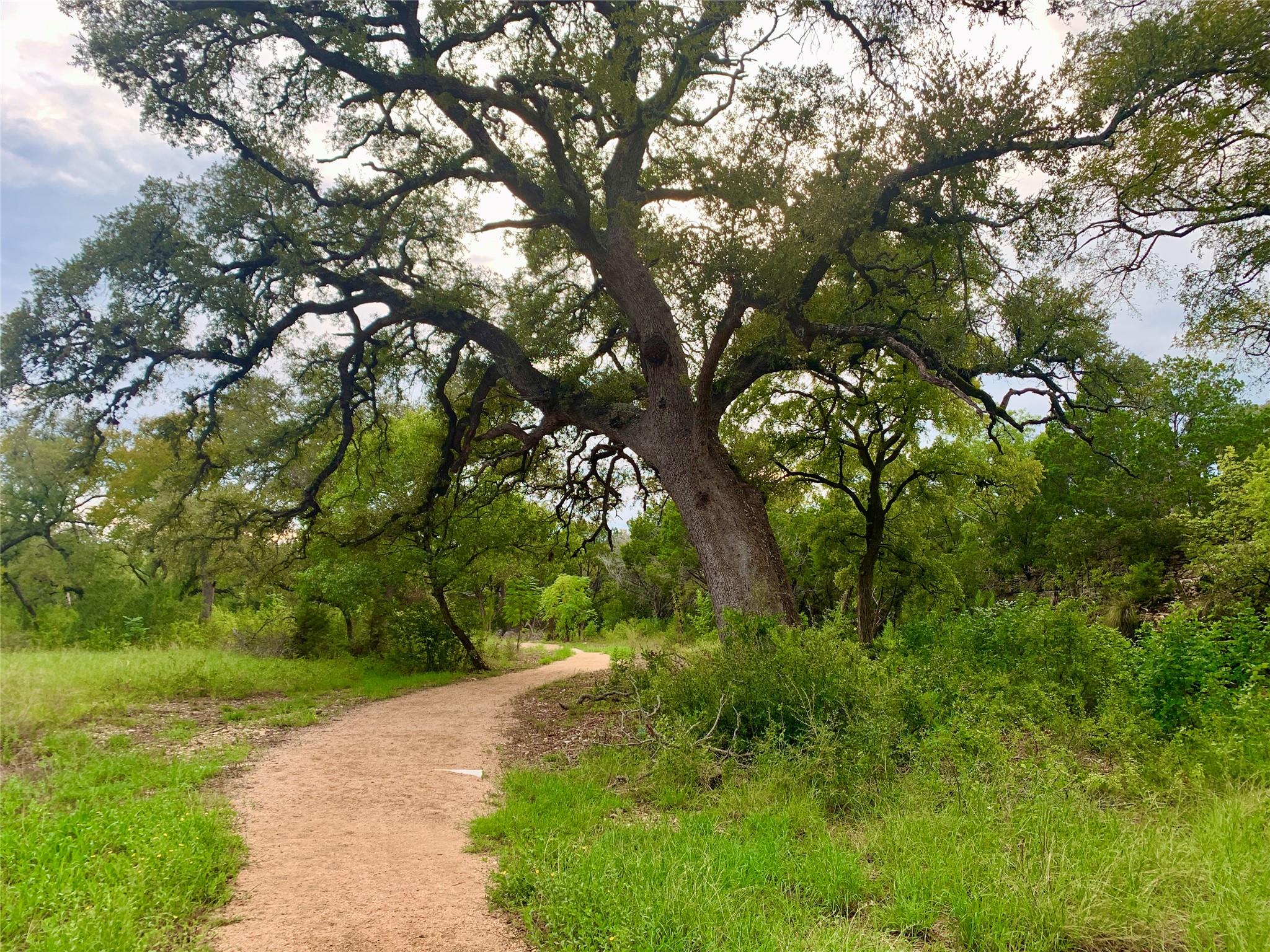 3020 Sage Ranch Dr, Leander, TX 78641