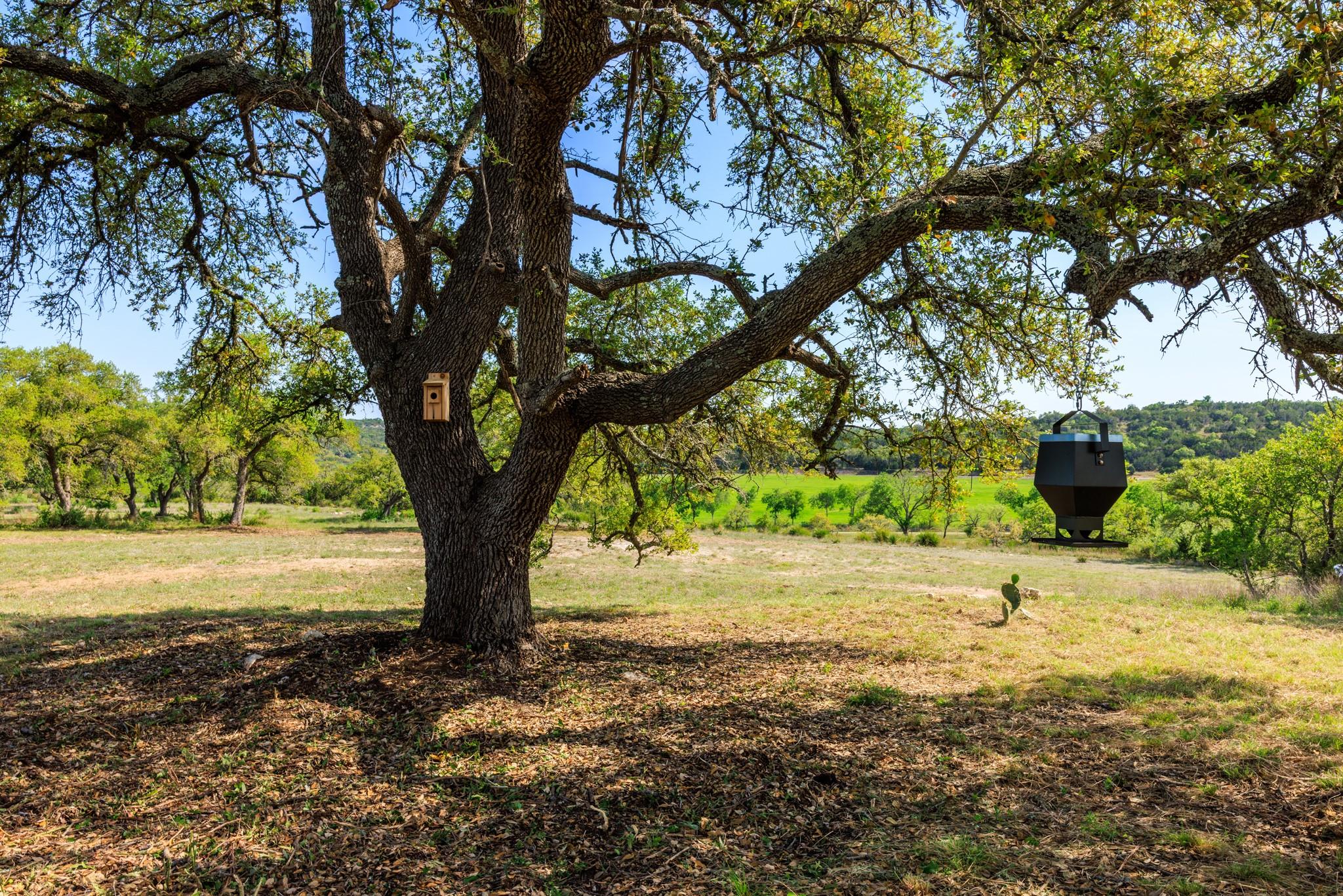 Lot 2 Byrd Ranch Rd, Johnson City, TX 78636