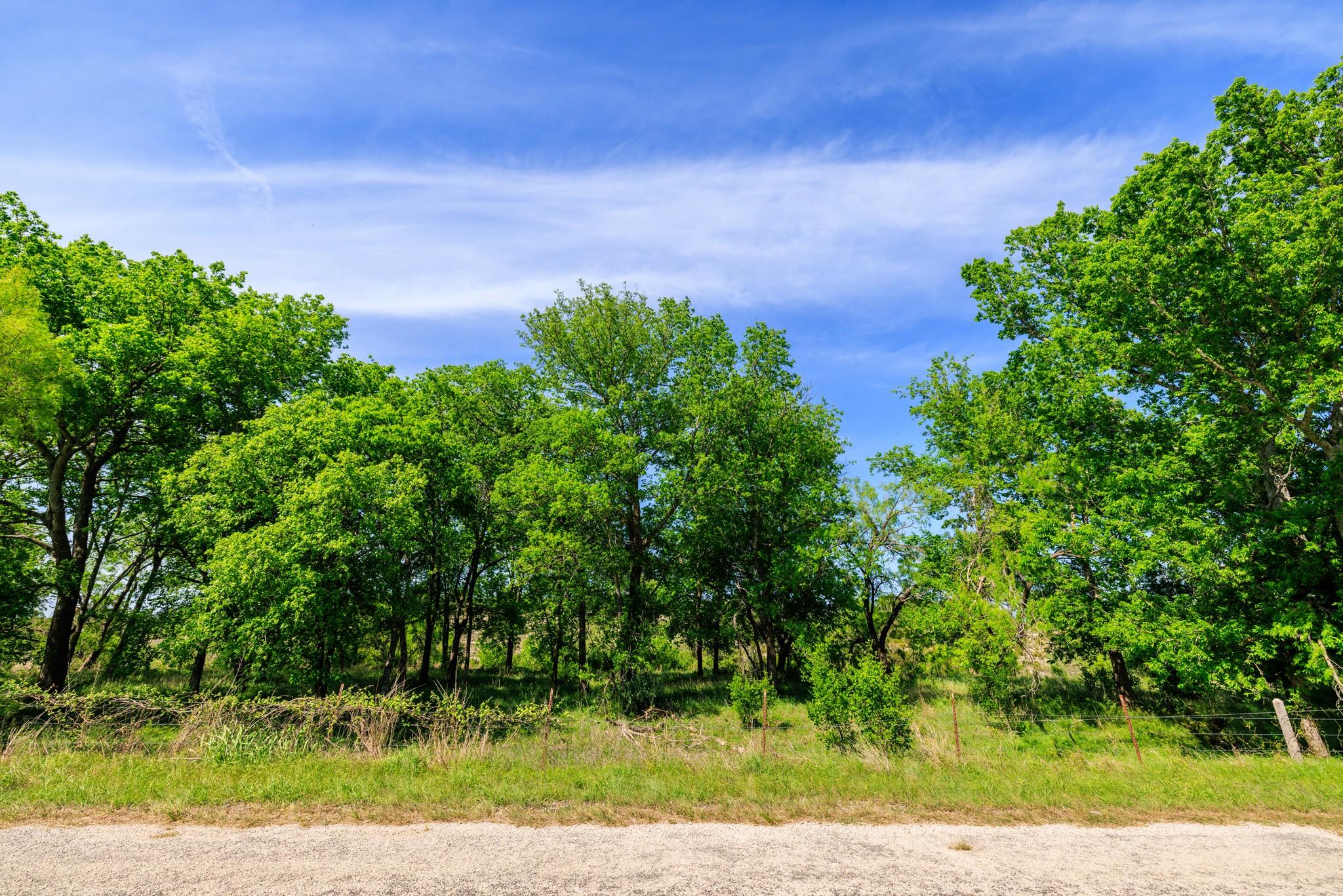 Lot 2 Byrd Ranch Rd, Johnson City, TX 78636
