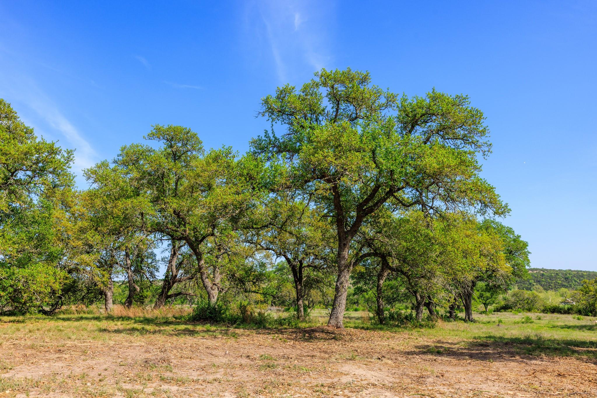 Lot 2 Byrd Ranch Rd, Johnson City, TX 78636