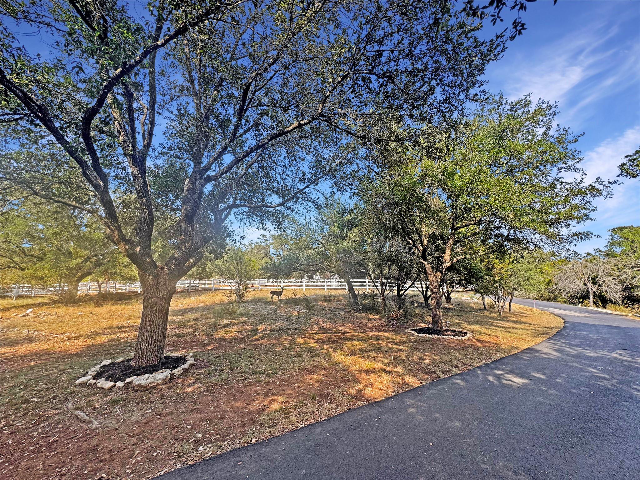 1717 Sycamore Crk, Dripping Springs, TX 78620