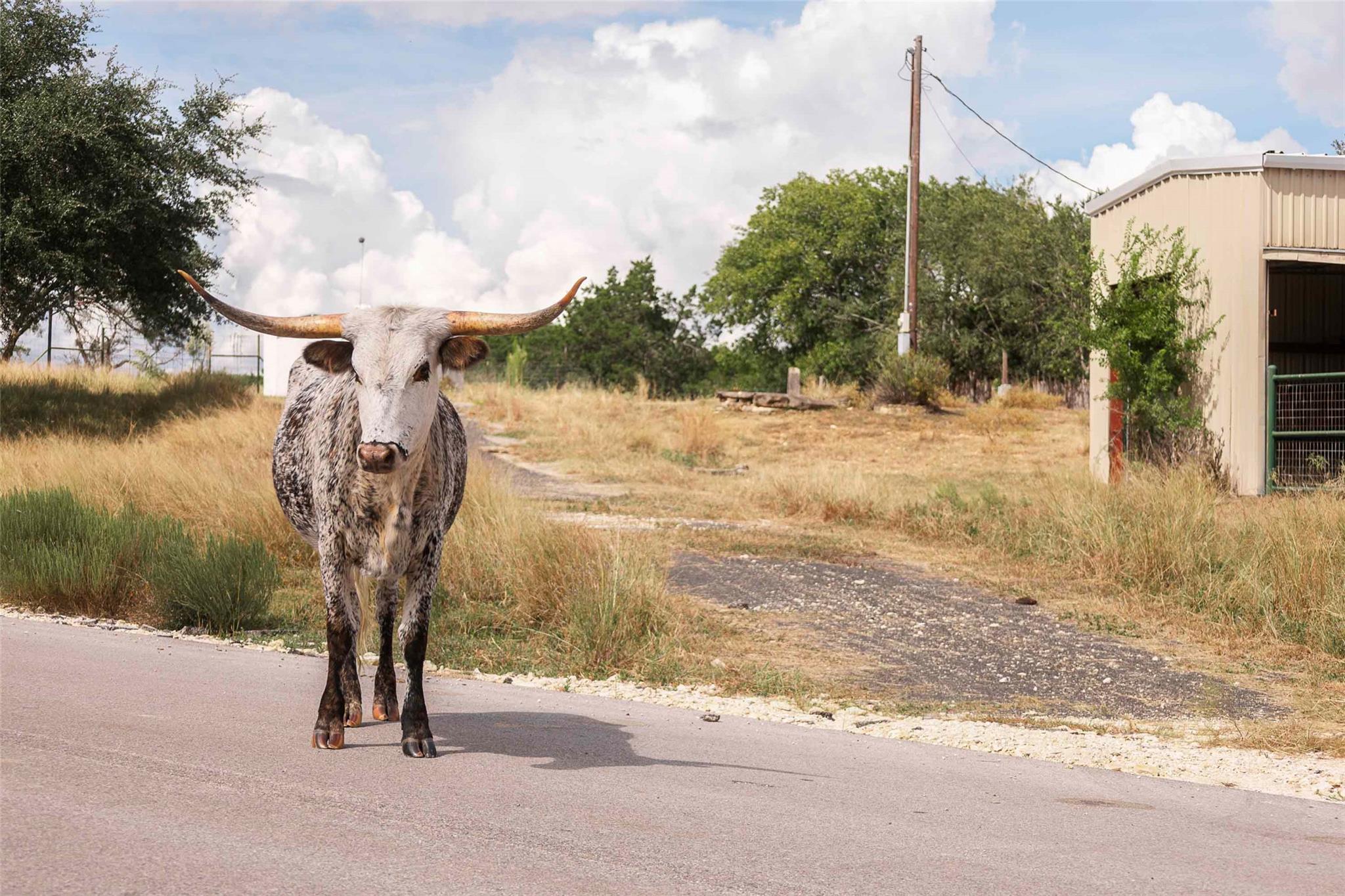 3958 Bandera Highway, Kerrville, TX 78028