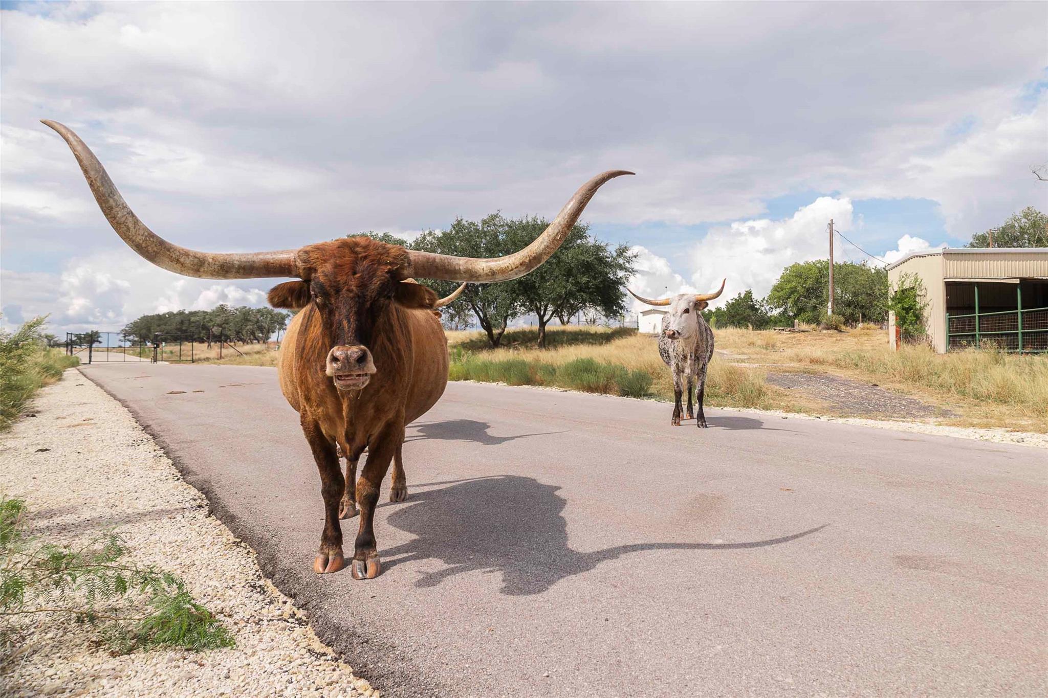 3958 Bandera Highway, Kerrville, TX 78028