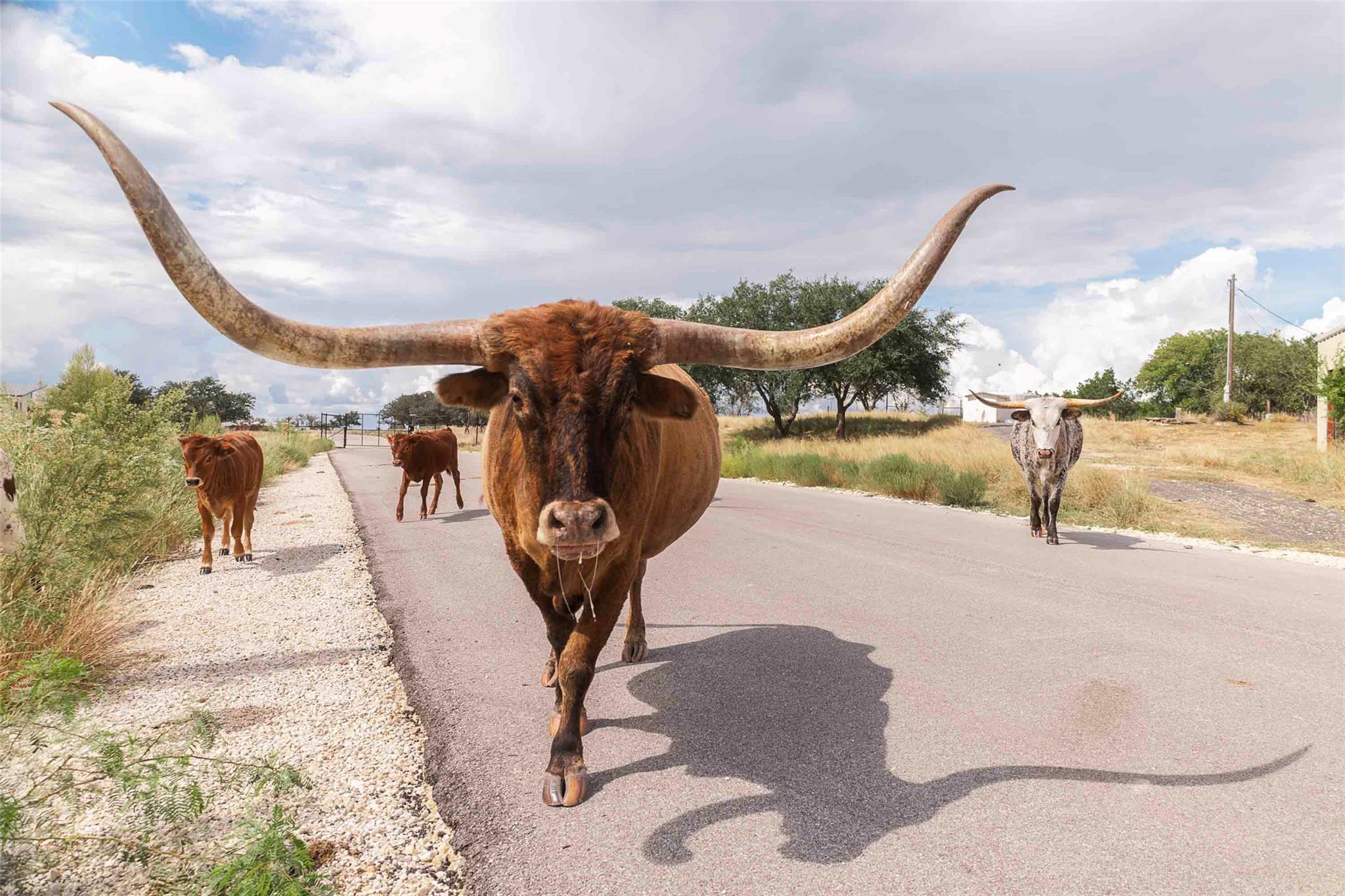 3958 Bandera Highway, Kerrville, TX 78028