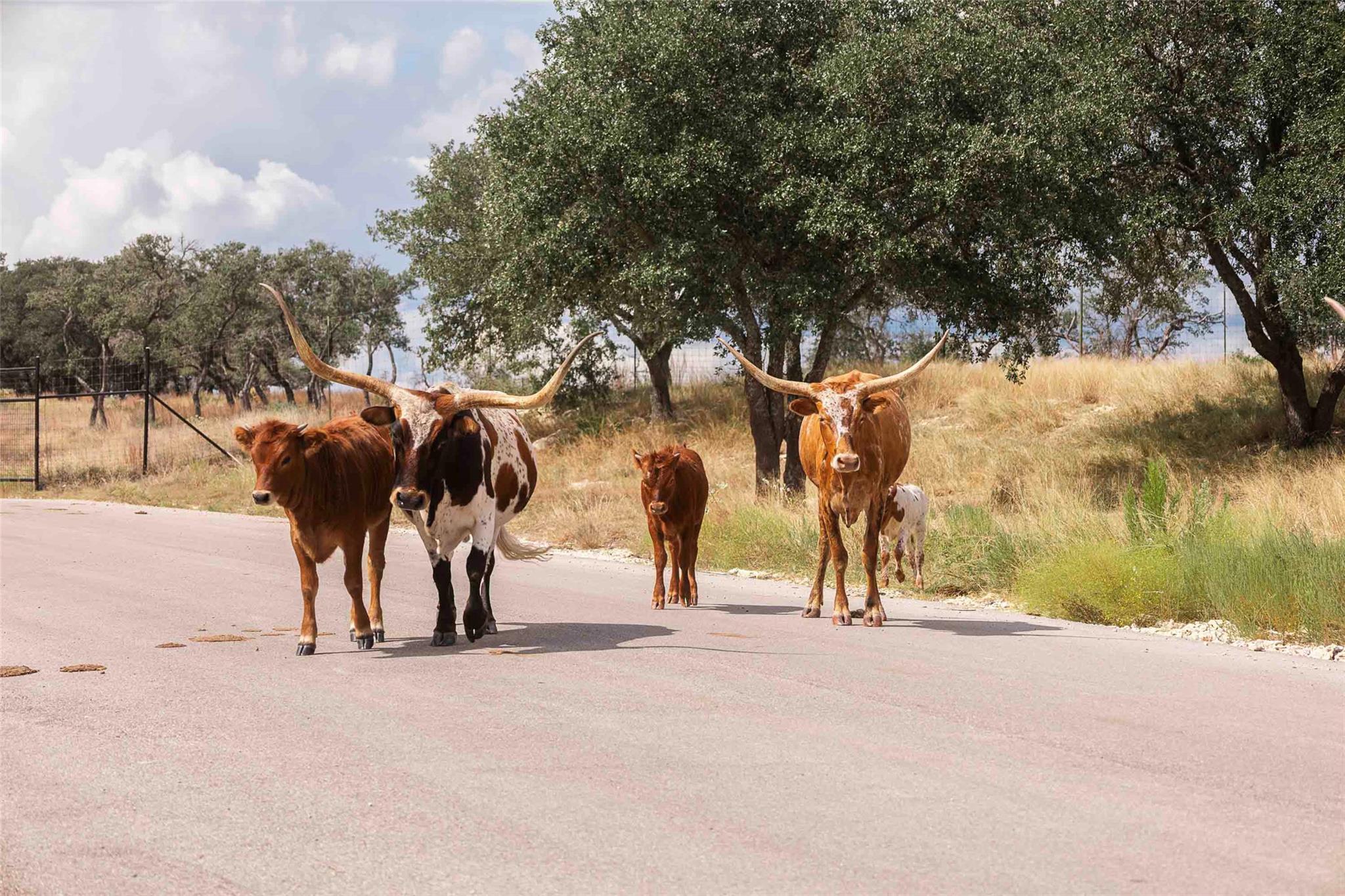 3958 Bandera Highway, Kerrville, TX 78028