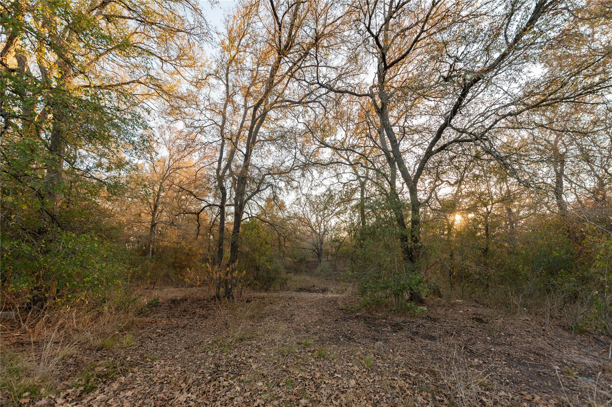 164 Josie Ln, Bastrop, TX 78602