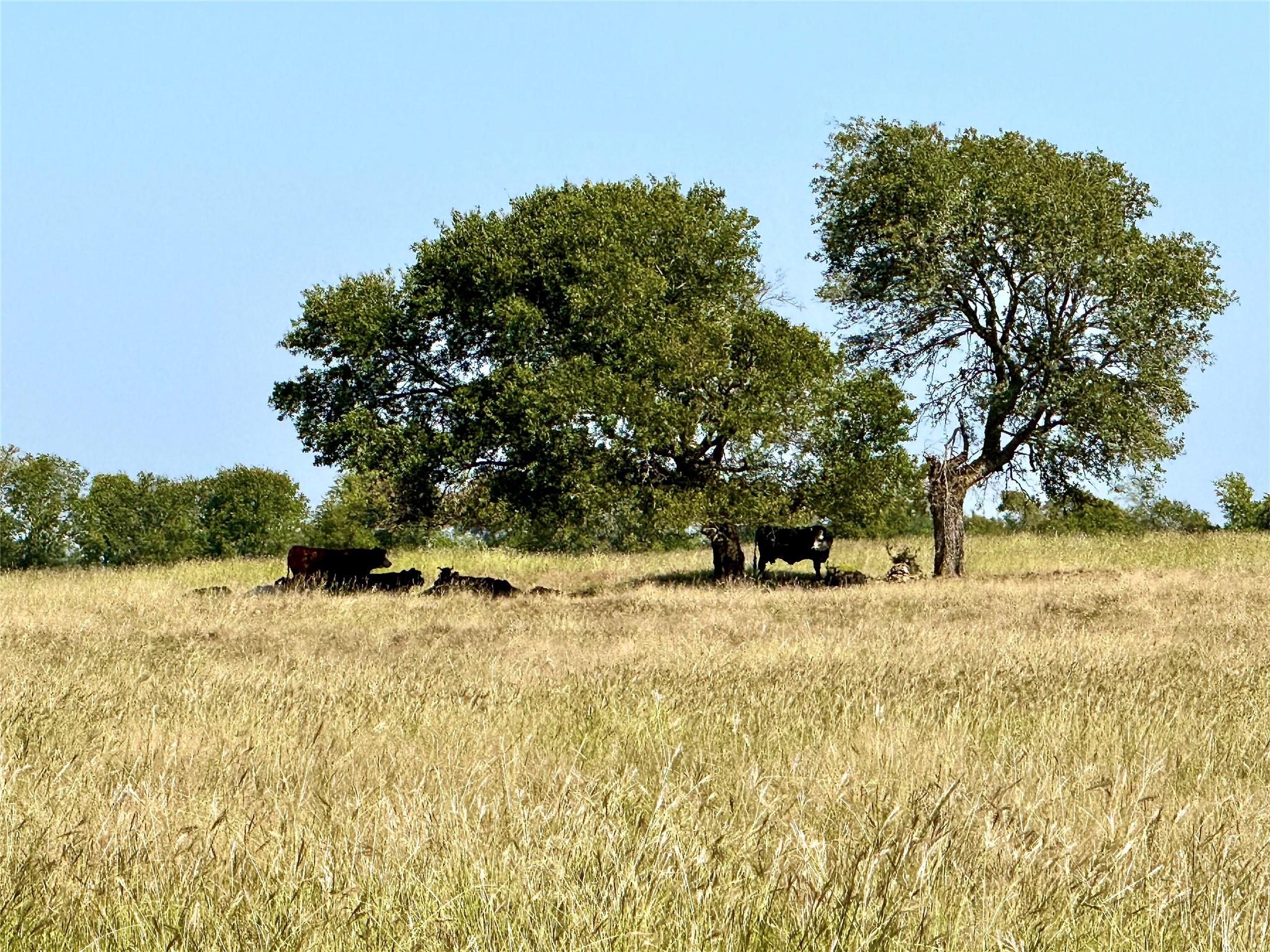 5132 Eddy Gatesville Pkwy, Moody, TX 76557