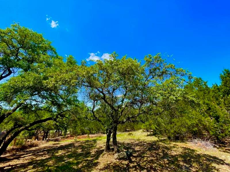 21422 Patton Ave, Lago Vista, TX 78645