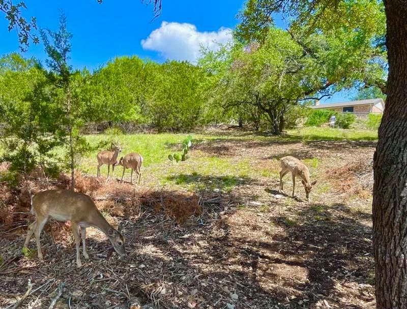 21422 Patton Ave, Lago Vista, TX 78645