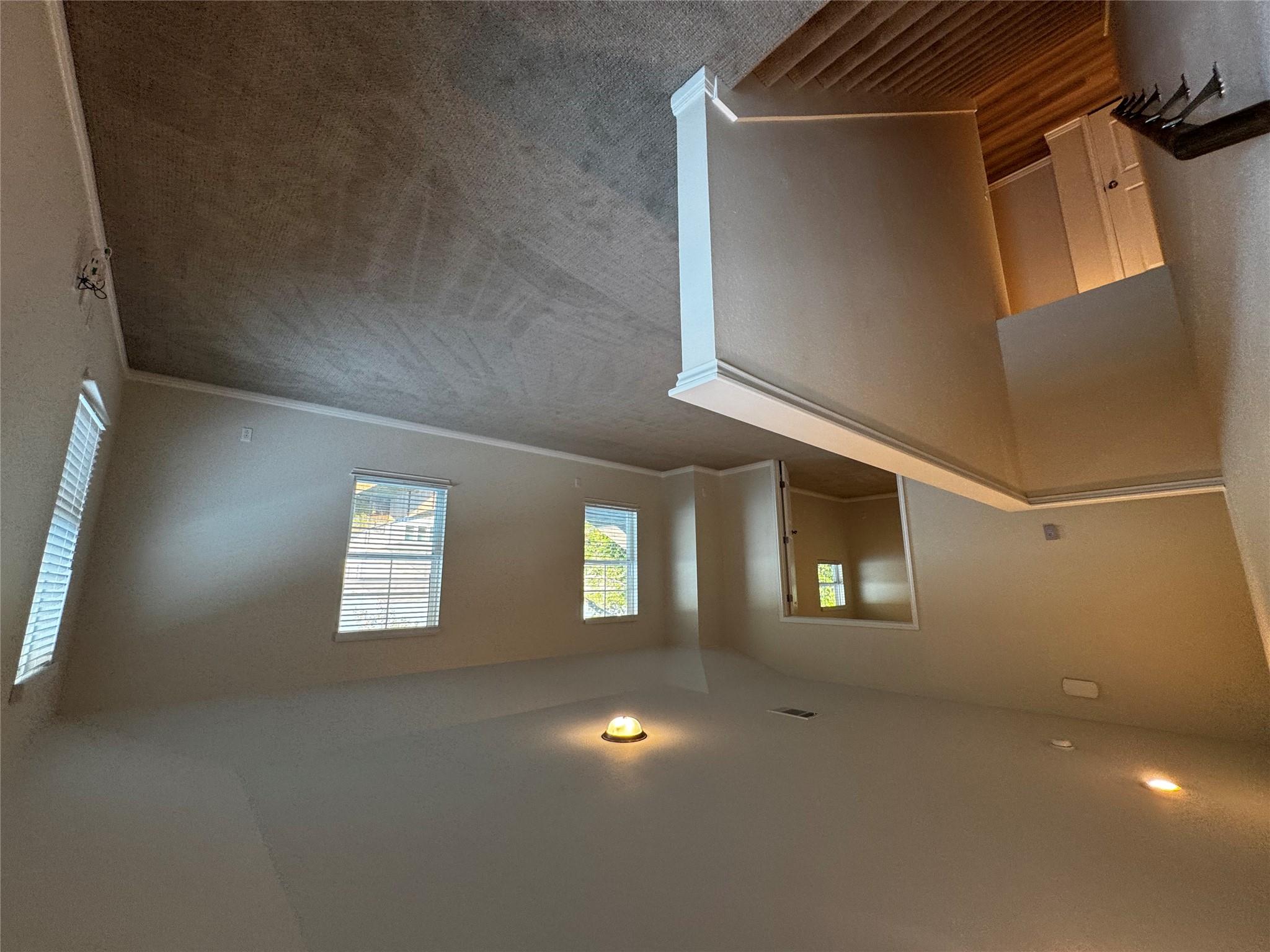 905 Copper Frond Way, Austin, TX 78748