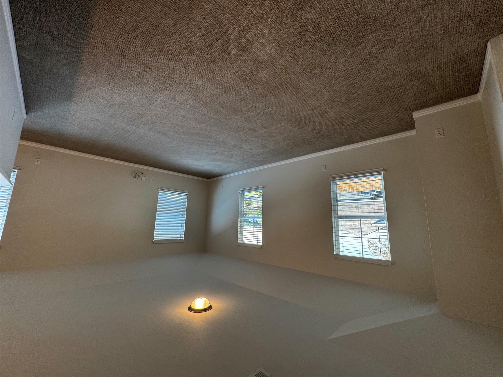 905 Copper Frond Way, Austin, TX 78748